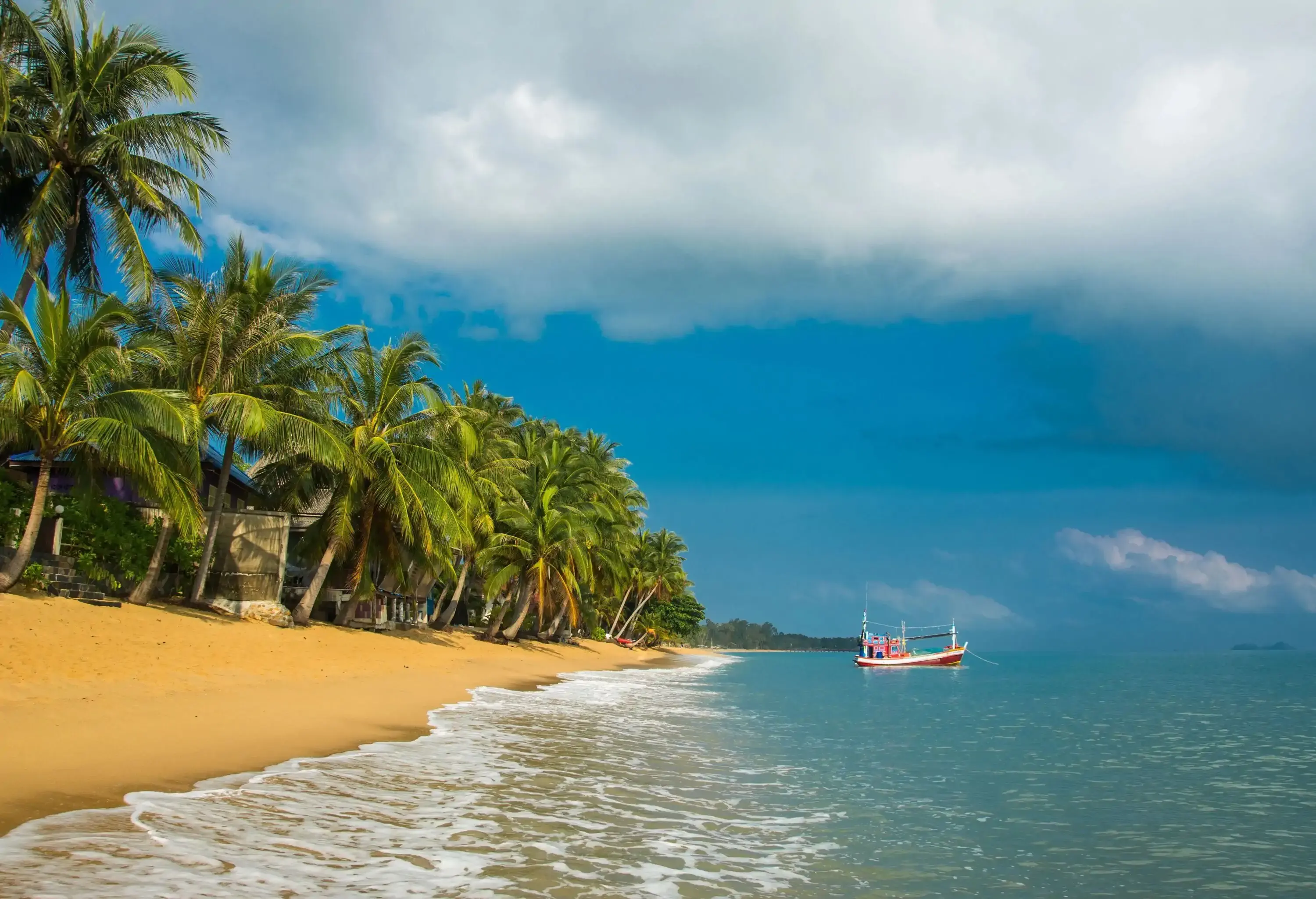 A picturesque view of a tranquil beach sandy shore lined with tall palm trees against the cloudy blue sky.