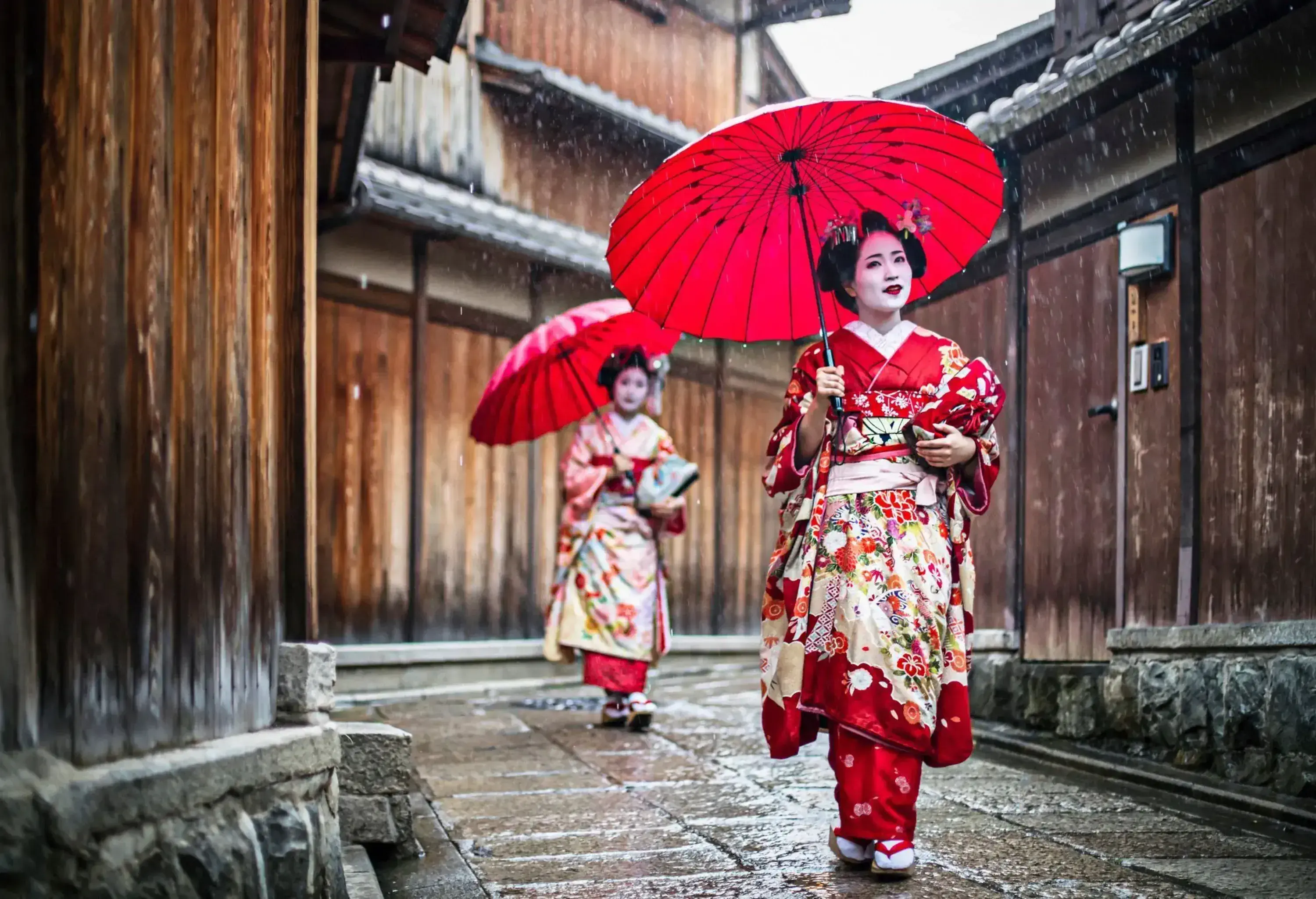 Maikos gracefully walks on a rainy day in the streets, elegantly holding red umbrellas.