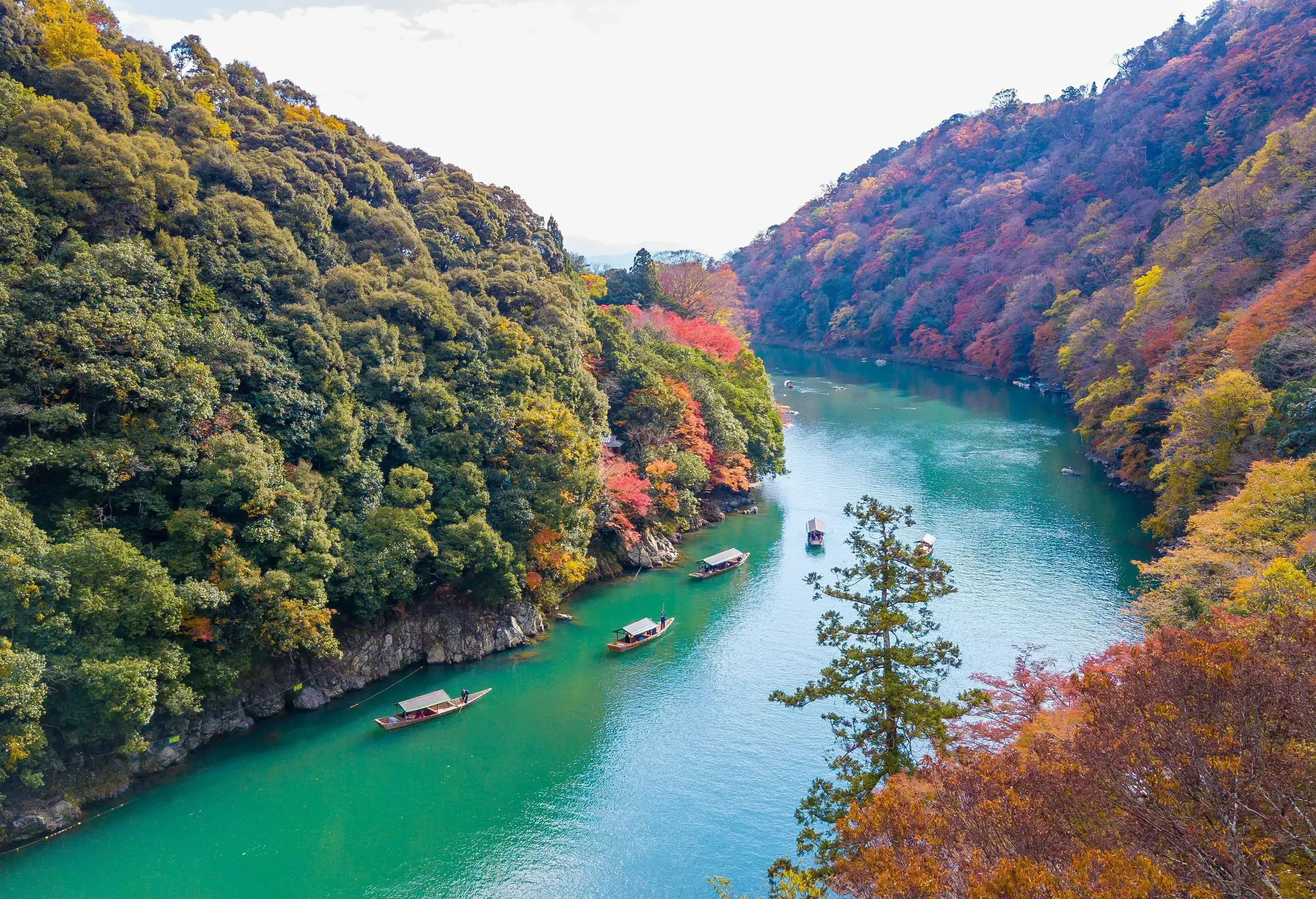 Wooden boats with roofs cruising down the river between forested hills with colourful fall trees.