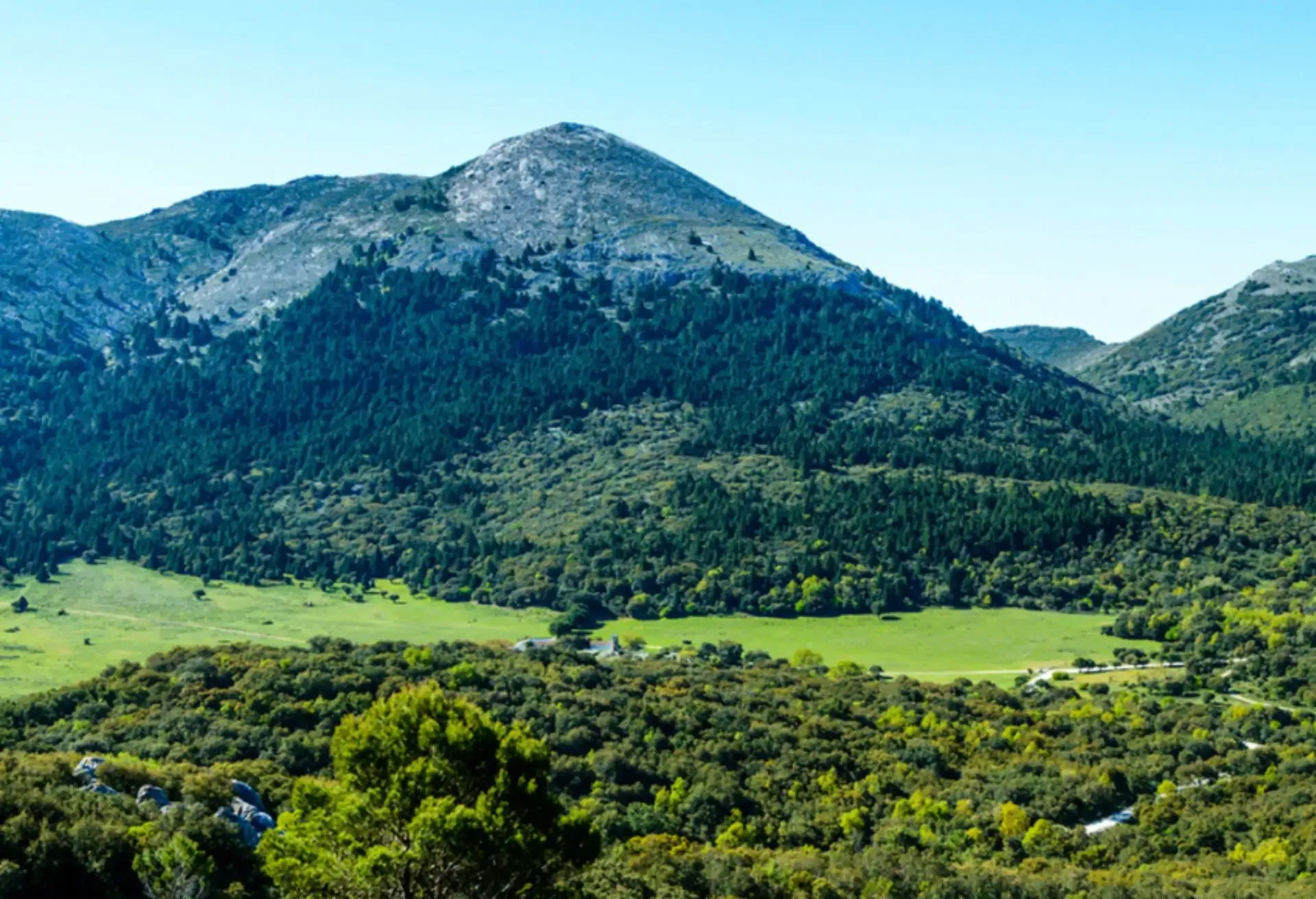 parque-natural-sierra-de-las-nieves