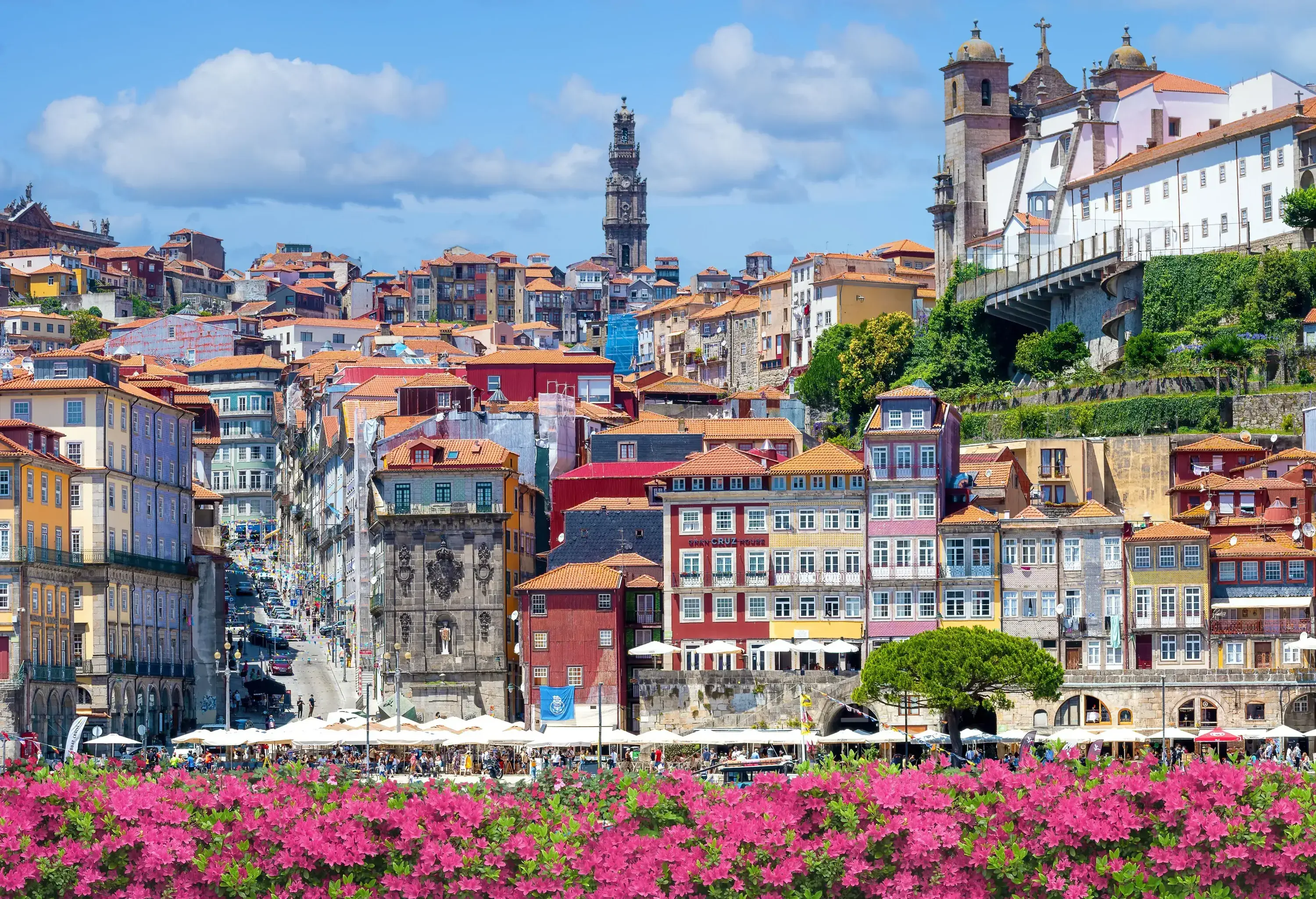 A row of delicate pink flowers in the foreground creates a charming contrast with the vibrant, colourful buildings nestled on the sloping terrain behind them.