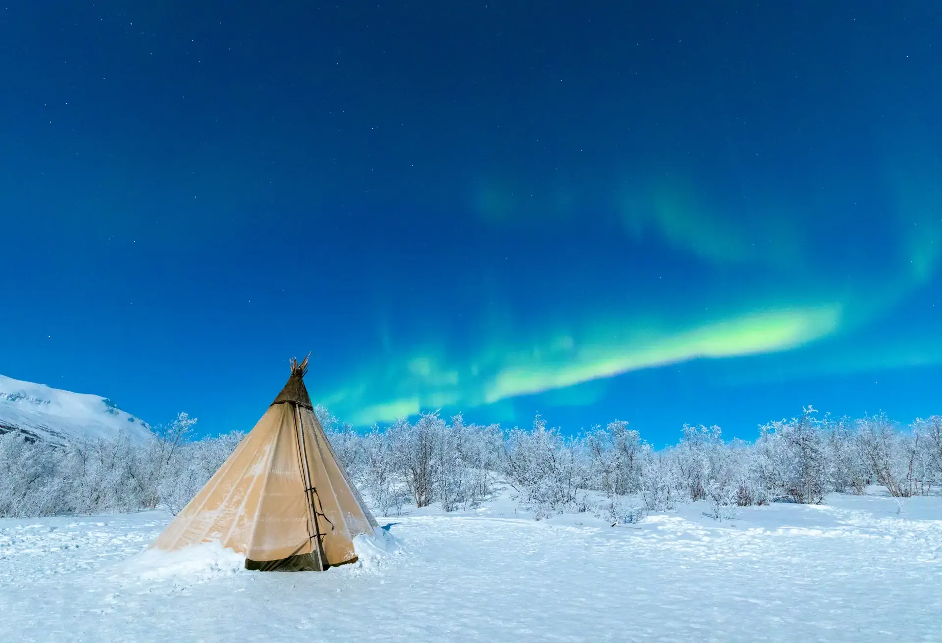 Isolated Sami tent in the snow under Northern Lights, Abisko, Kiruna Municipality, Norrbotten County, Lapland, Sweden