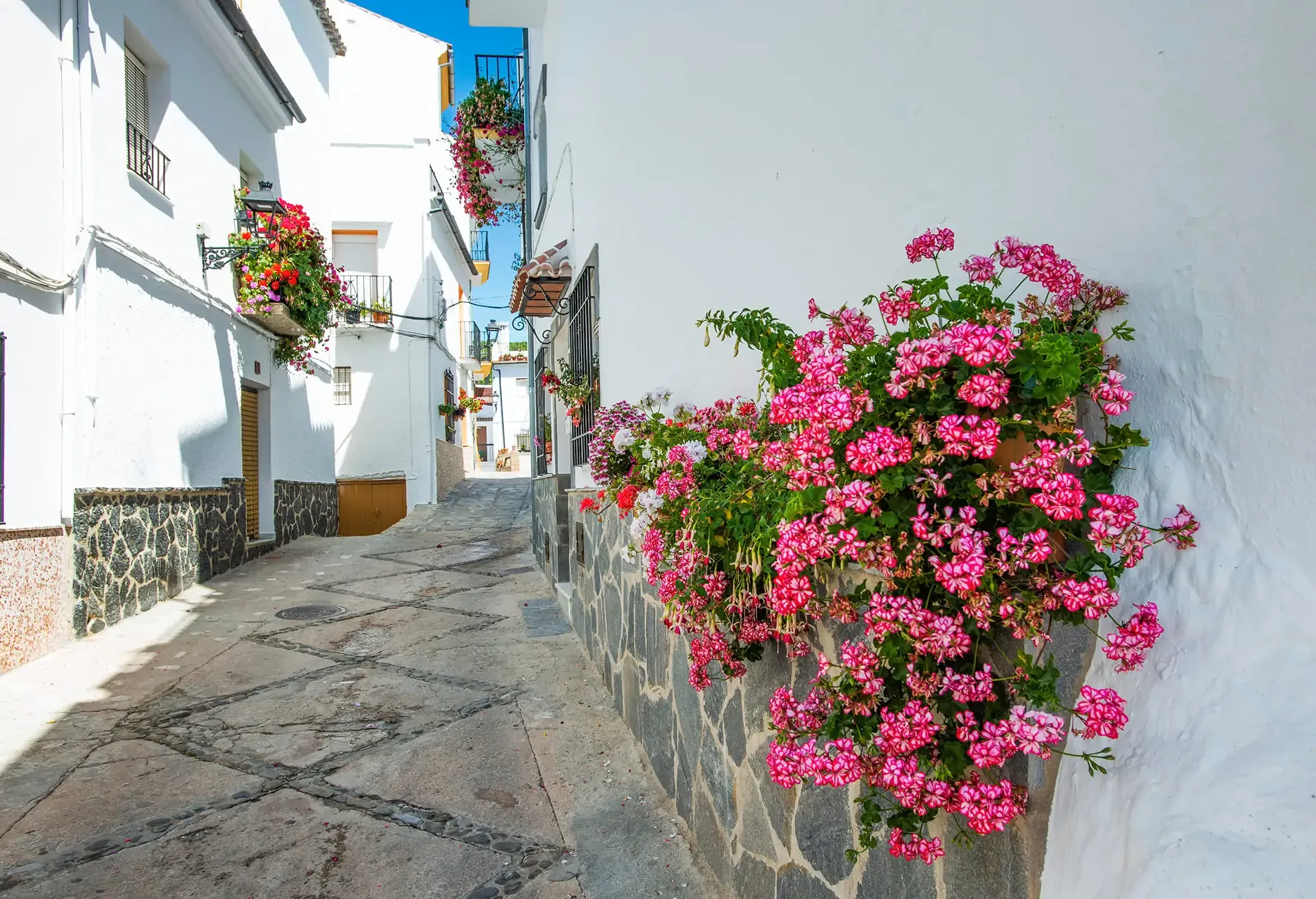 Charming whitewashed street decorated with vibrant pink flowers along the stone wall under blue sky.