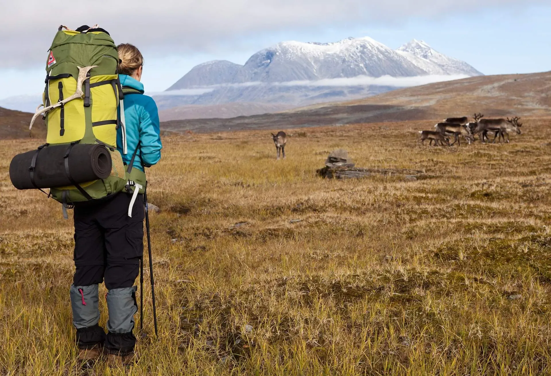 Vandringsleder i Sverige, Sarek Nationalpark