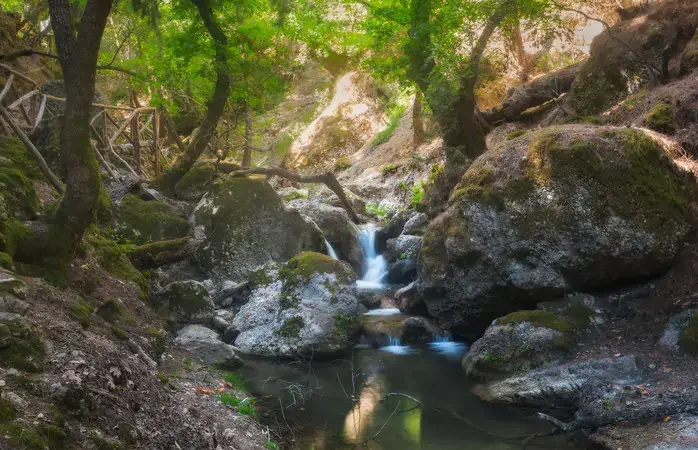 Greece. Butterfly Valley Nature Reserve (Park), located on the island of Rhodes. On trpah arranged wooden bridges, mossy rocks and small waterfalls.