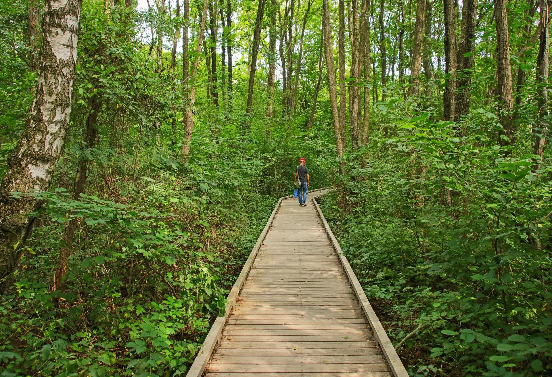 Vandringsleder i Sverige, Stenshuvud National Park