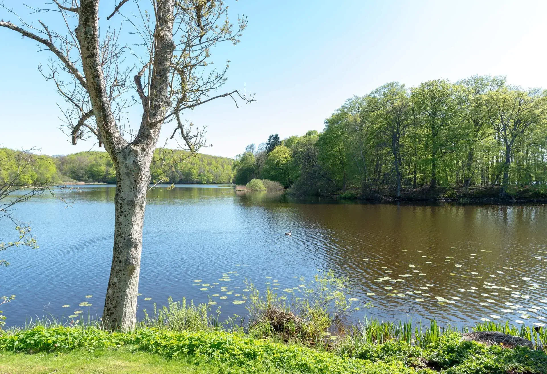 SWEDEN_SKANE_HACKEBERGA_THEME_NATURE