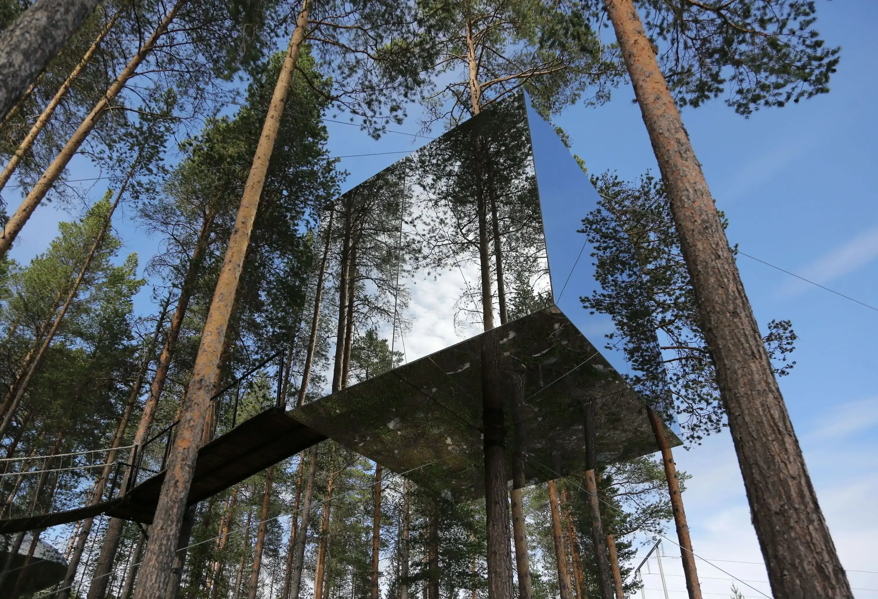 A modern box-shaped glass tree house in the middle of the woods surrounded by towering green trees.