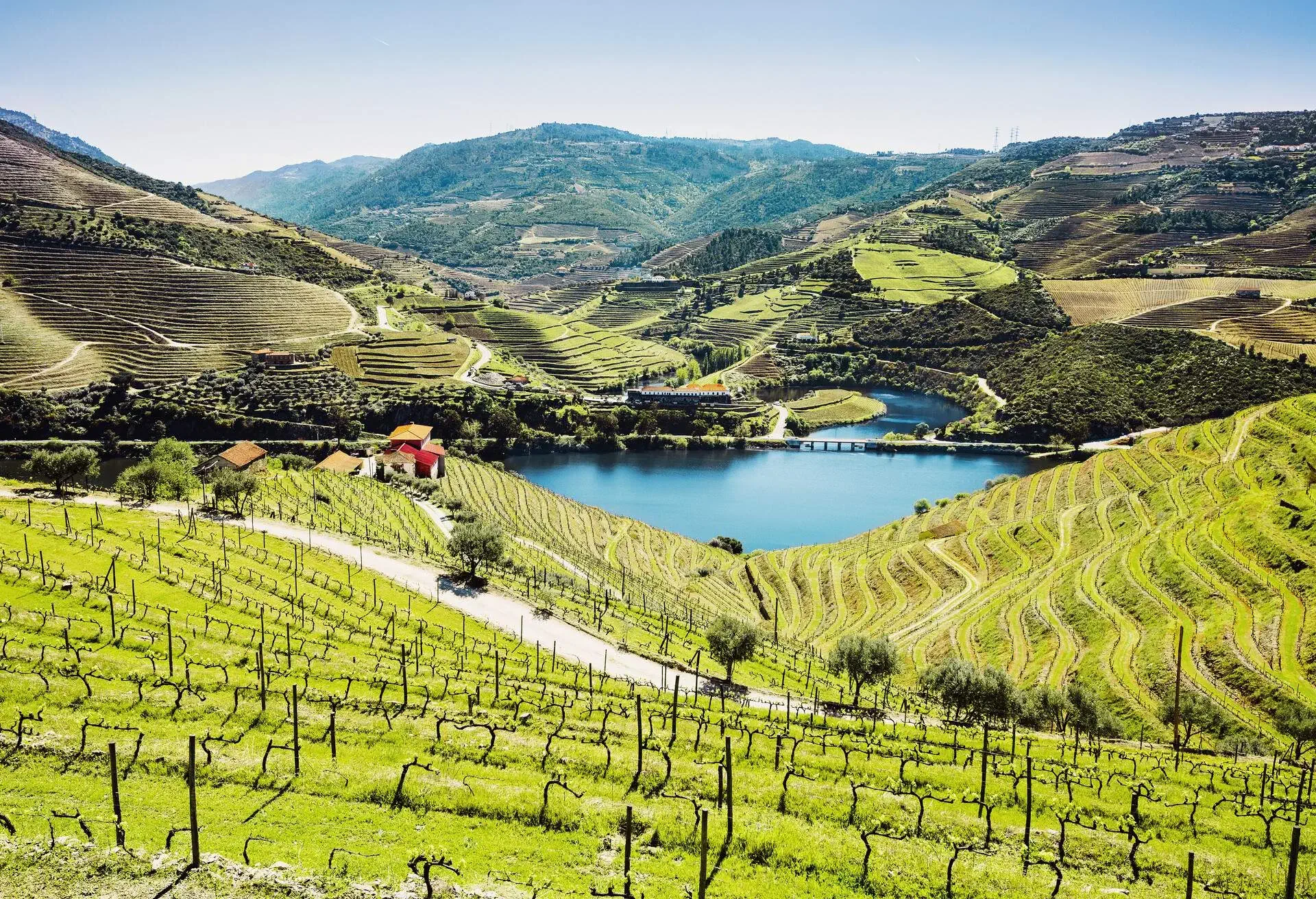 A calm river surrounded by terraced hills and valleys of vineyards.