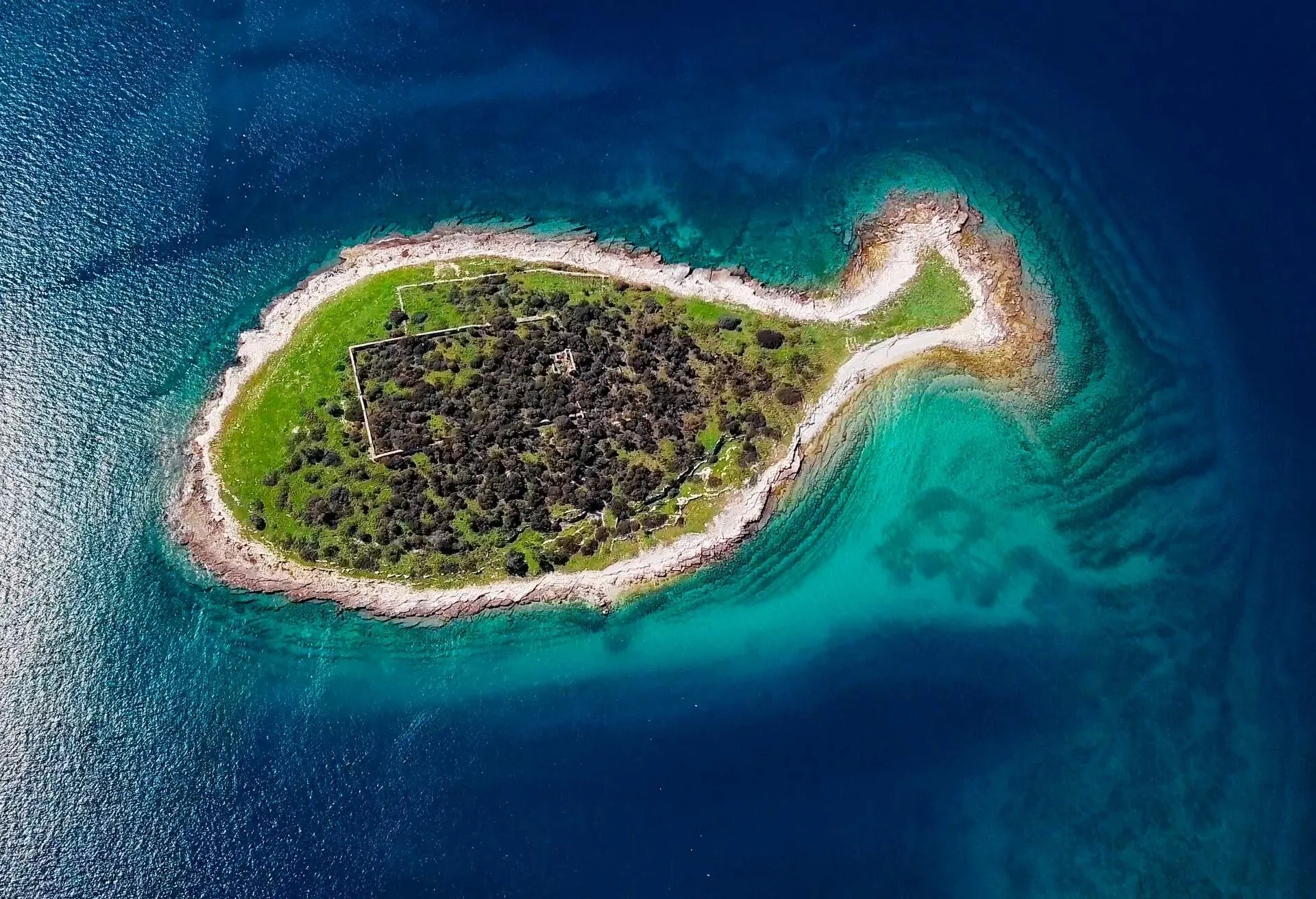 croatia_brijun_island_fish_gaz_gettyimages