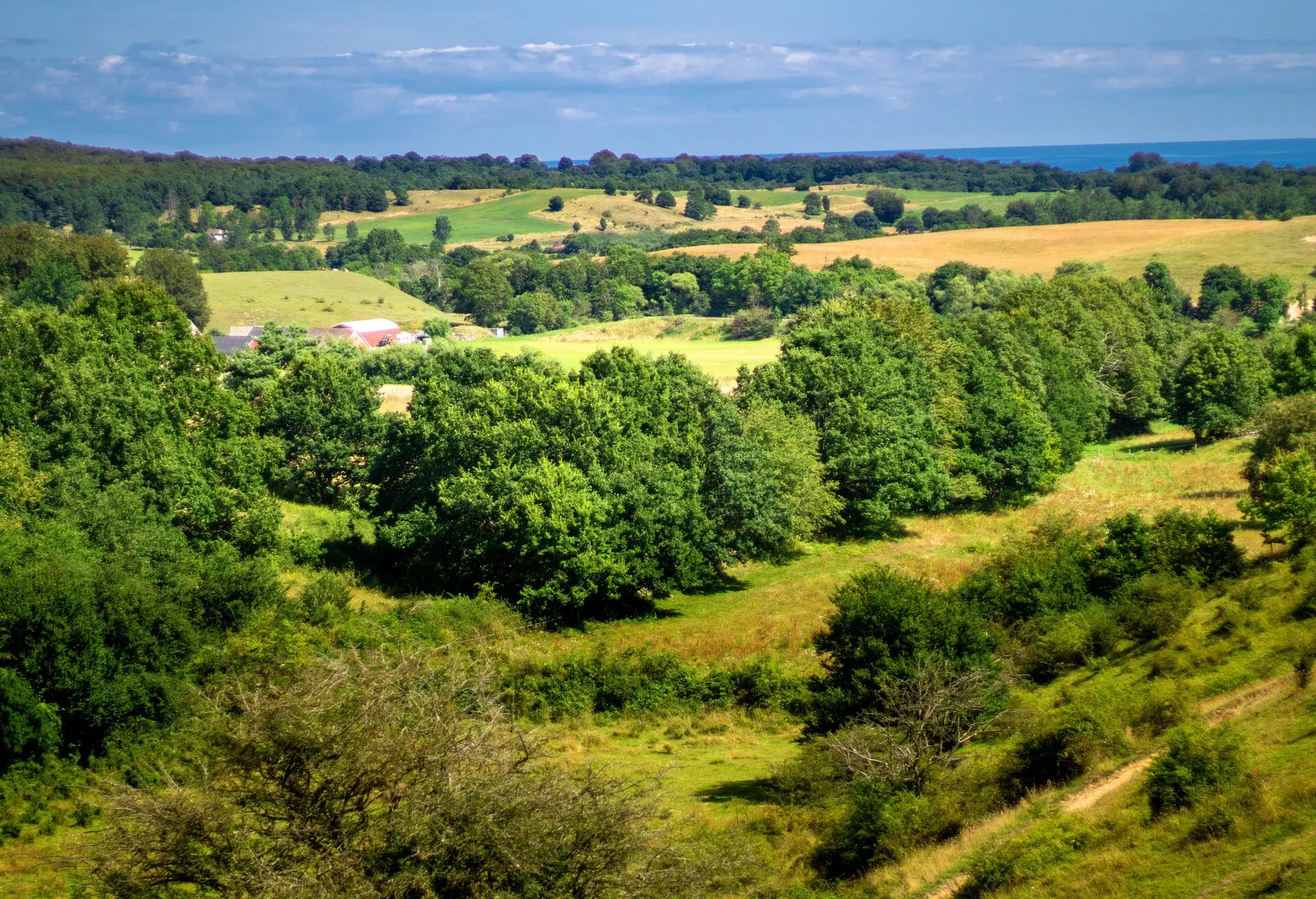 DEST_SWEDEN_Brösarp-HILLS_GettyImages-1186051518