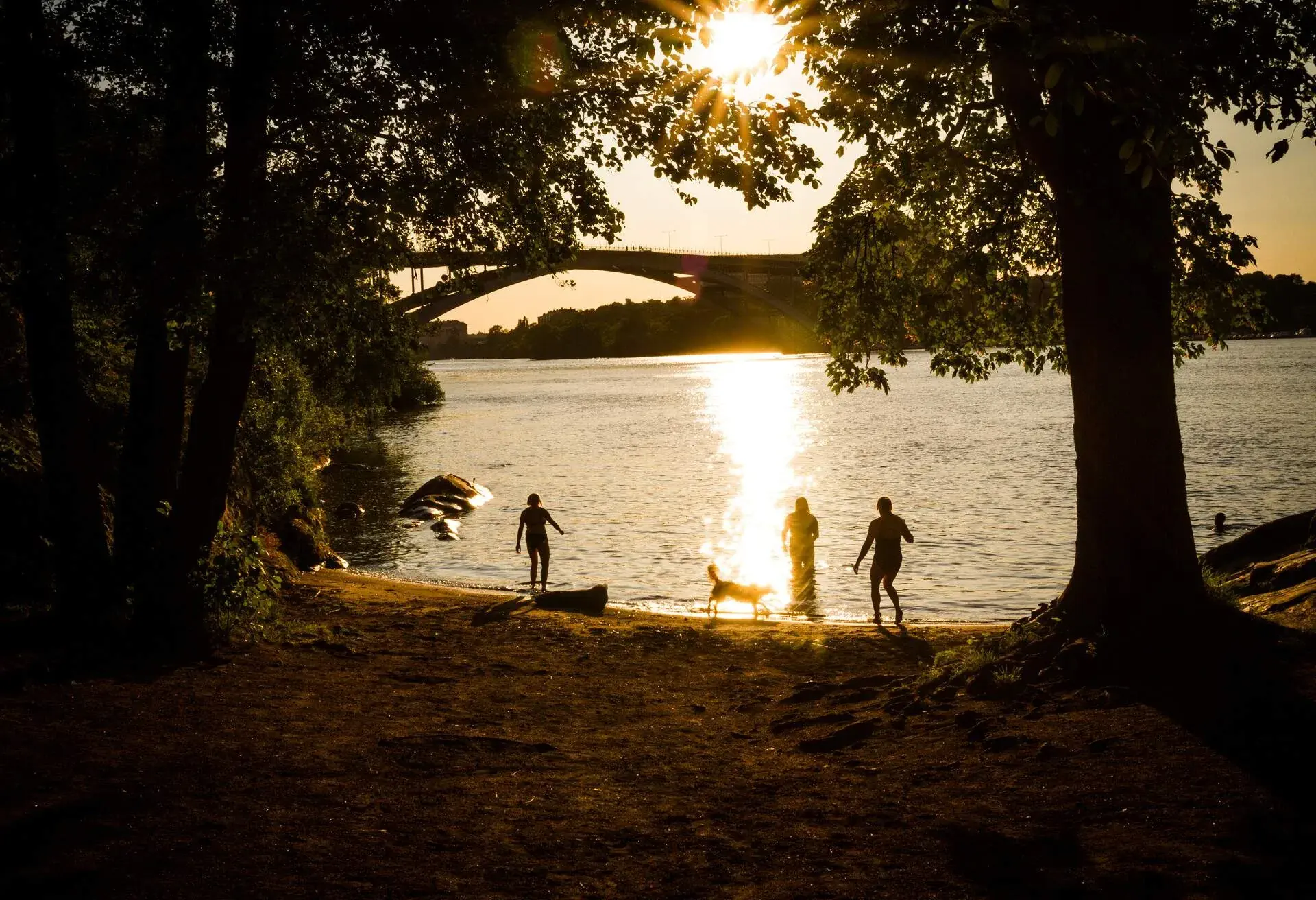 Swimmers in one of the beaches in the Långholmen island in the center of Stockholm (Sweden) on a sunny afternoon of summer.