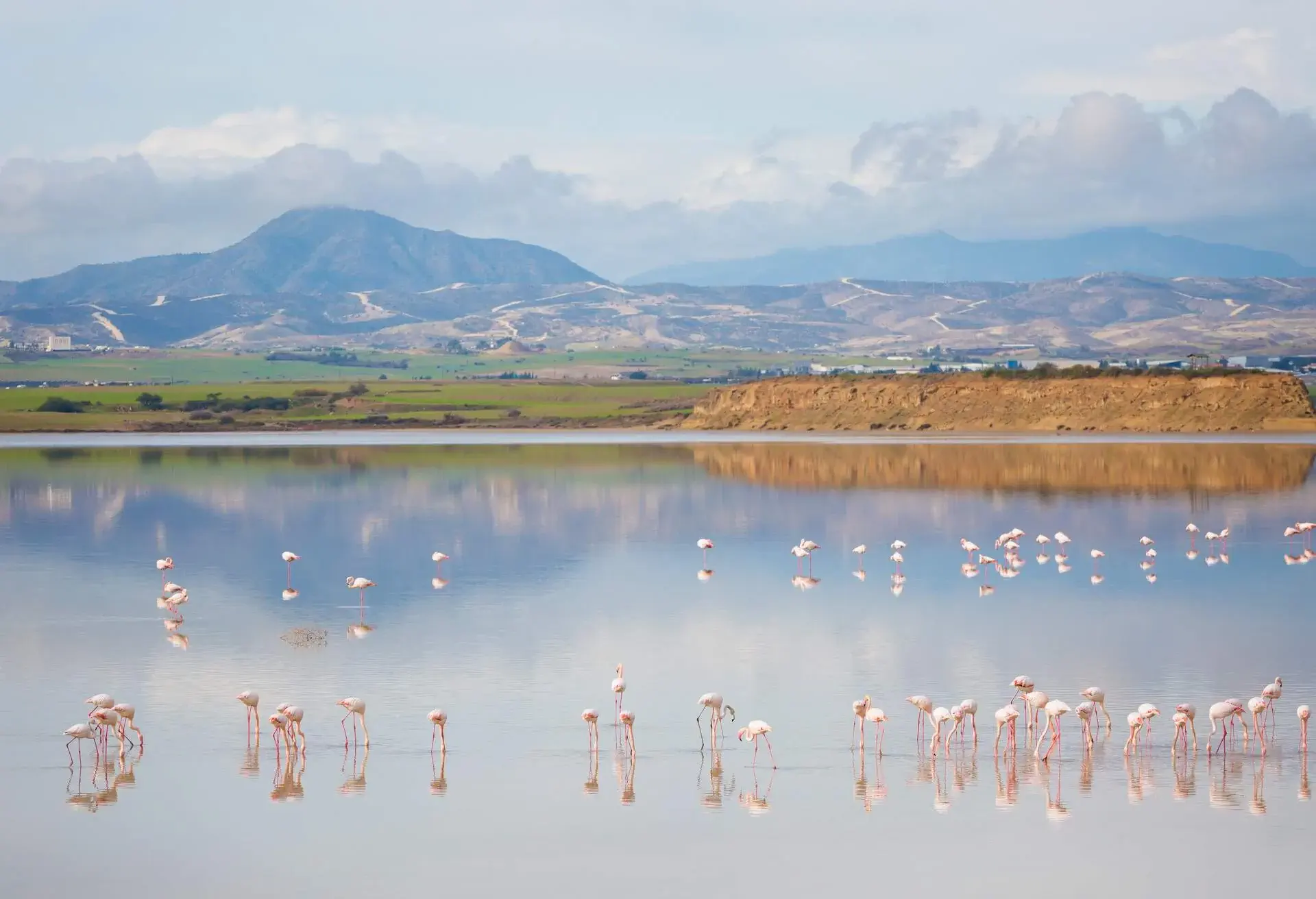 DEST_CYPRUS_LARNACA_LARNACA SALT LAKE_GettyImages-1094644292