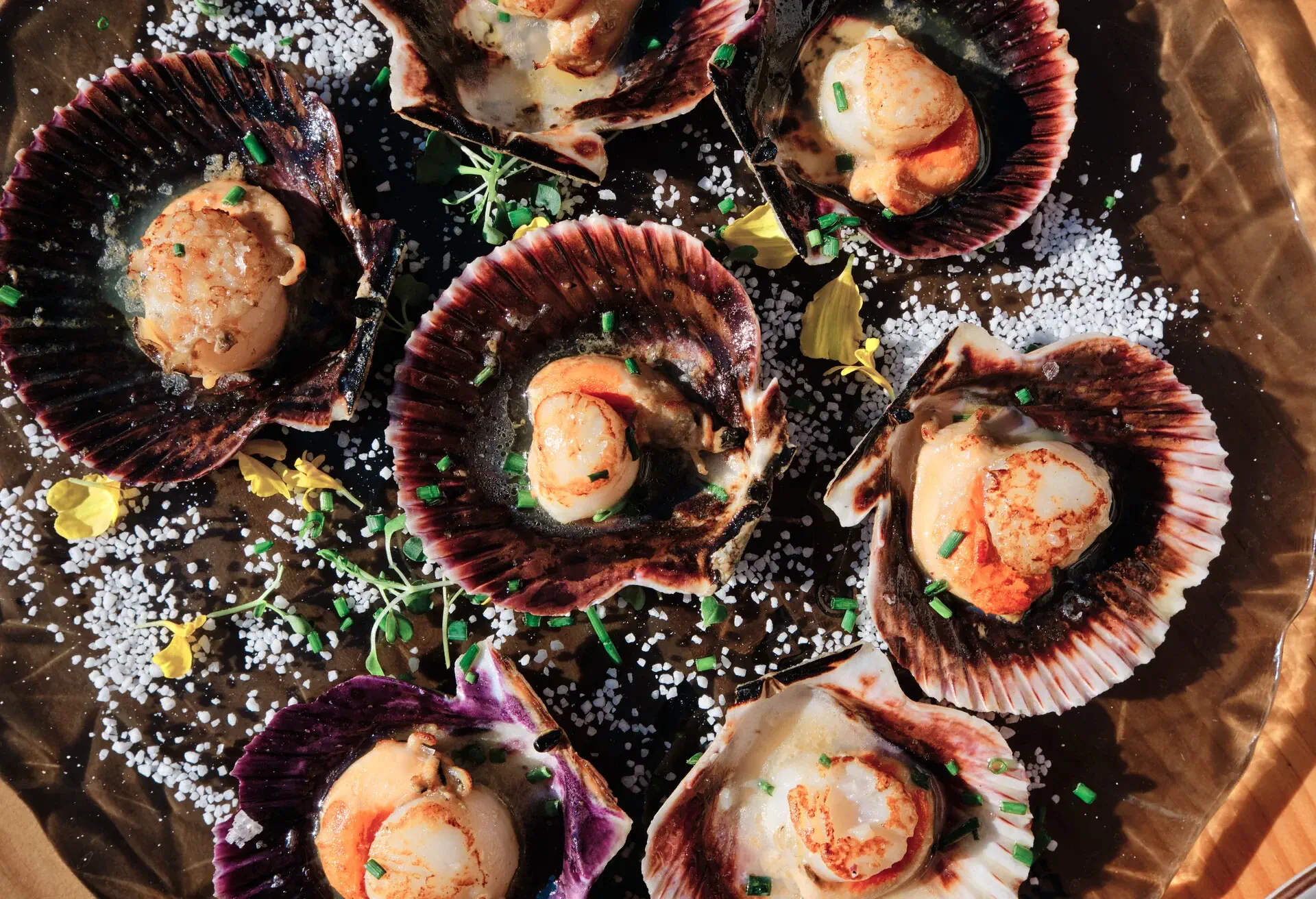 THEME_FOOD_SPANISH_SCALLOPS_Zamburiñas_GettyImages-1368900708