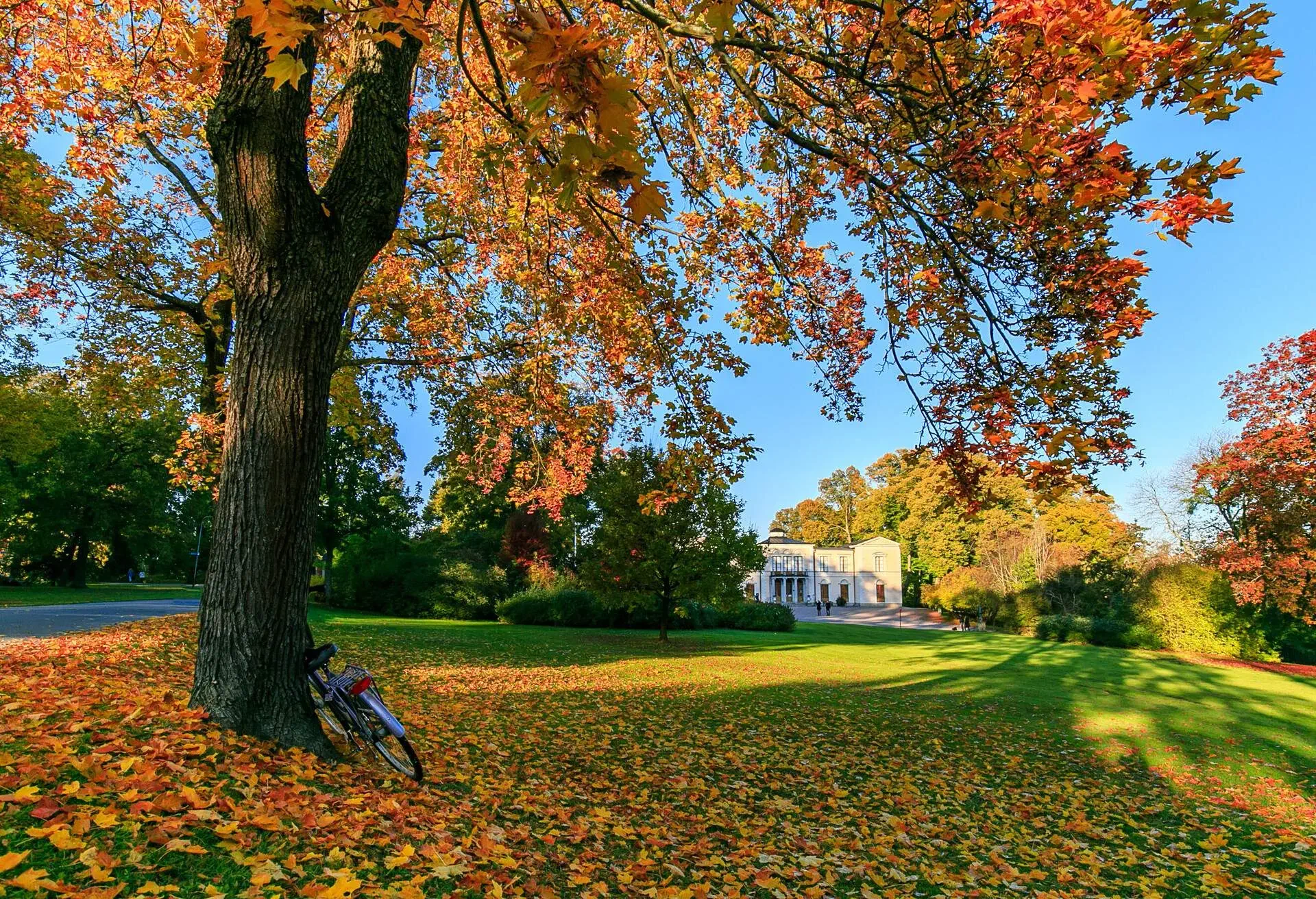 sweden_stockholm_djurgarden_rosendal_palace_park_autumn