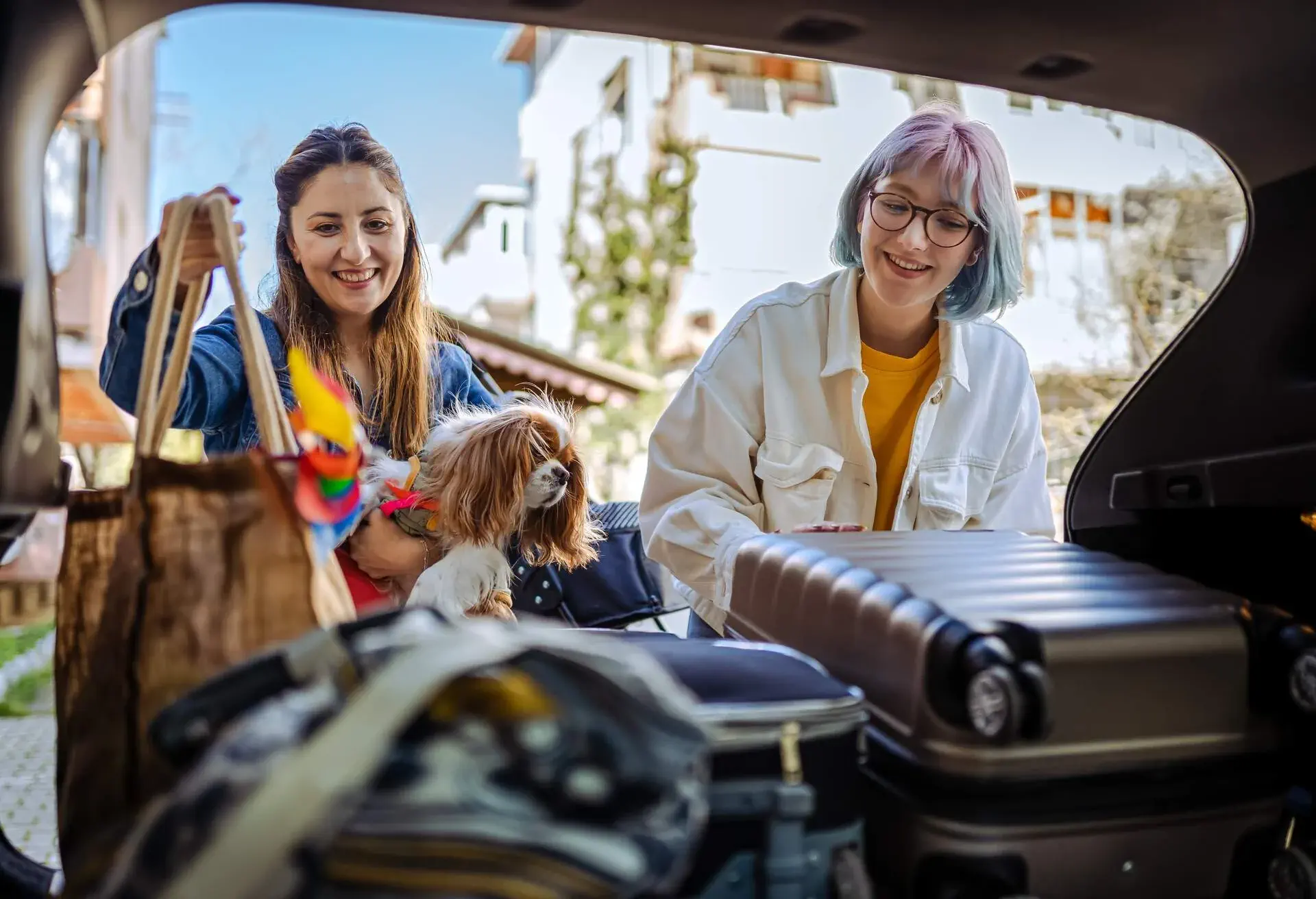 DEST_TURKEY_THEME_CAR_ROADTRIP_FAMILY_PETS_DOG_GettyImages