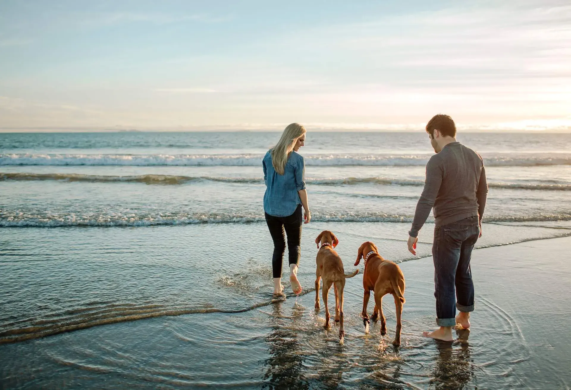THEME_TRAVEL_PEOPLE_FRIENDS_COUPLE_DOG_PET_BEACH_VACATION-shutterstock-portfolio_1880430685