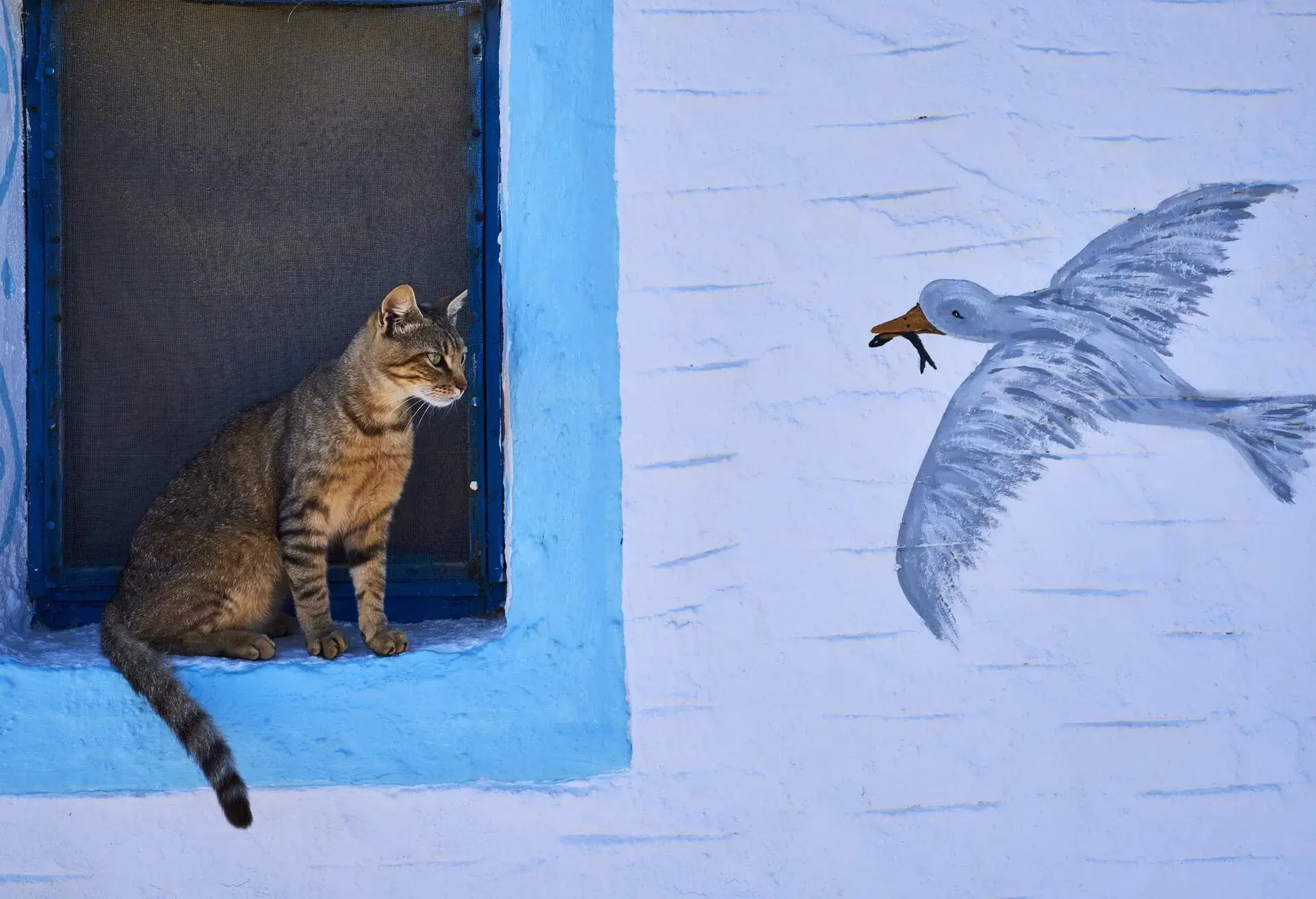 dest_greece_amorgos_cat_window_gettyimages