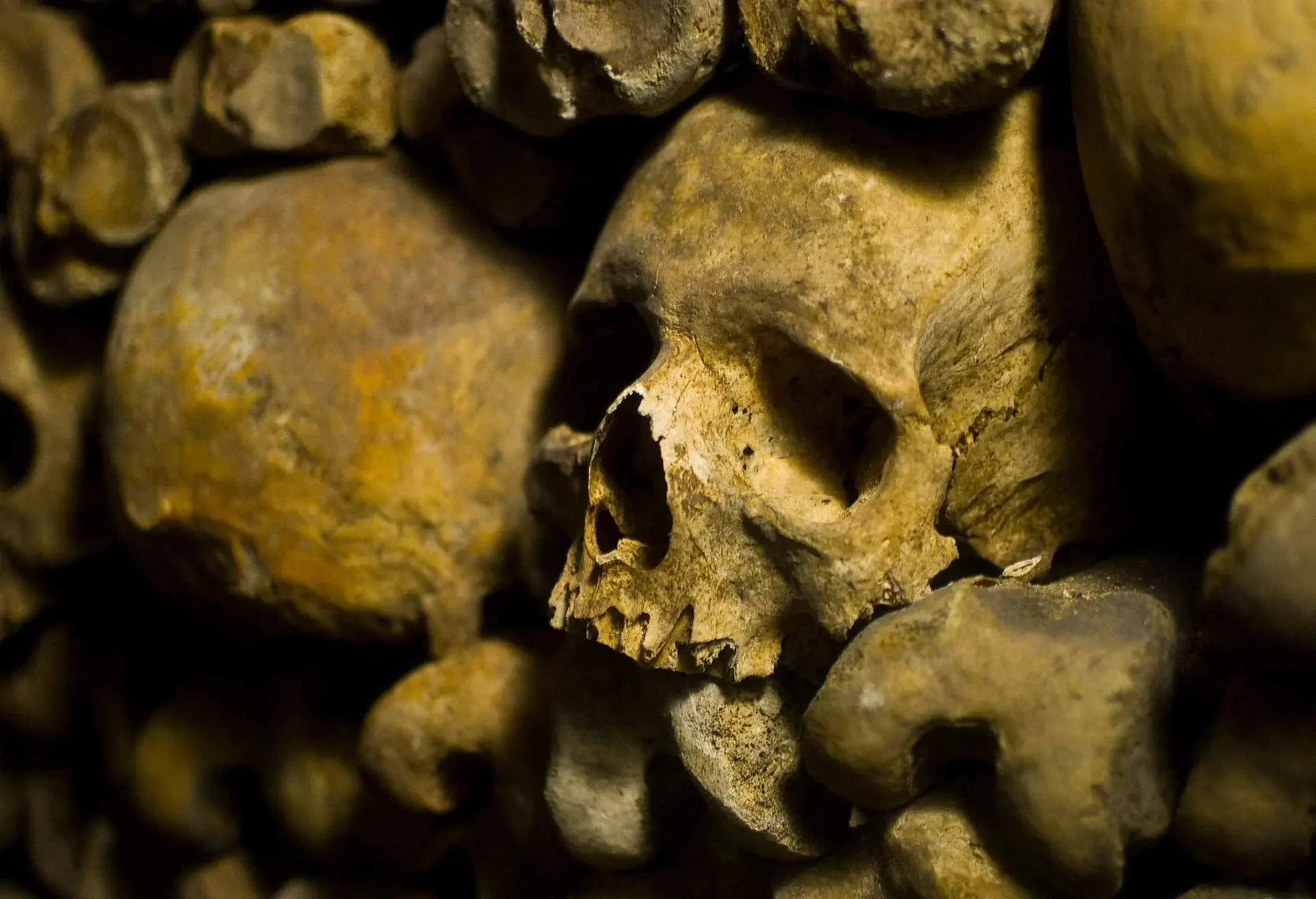 Le Catacombs - Paris
