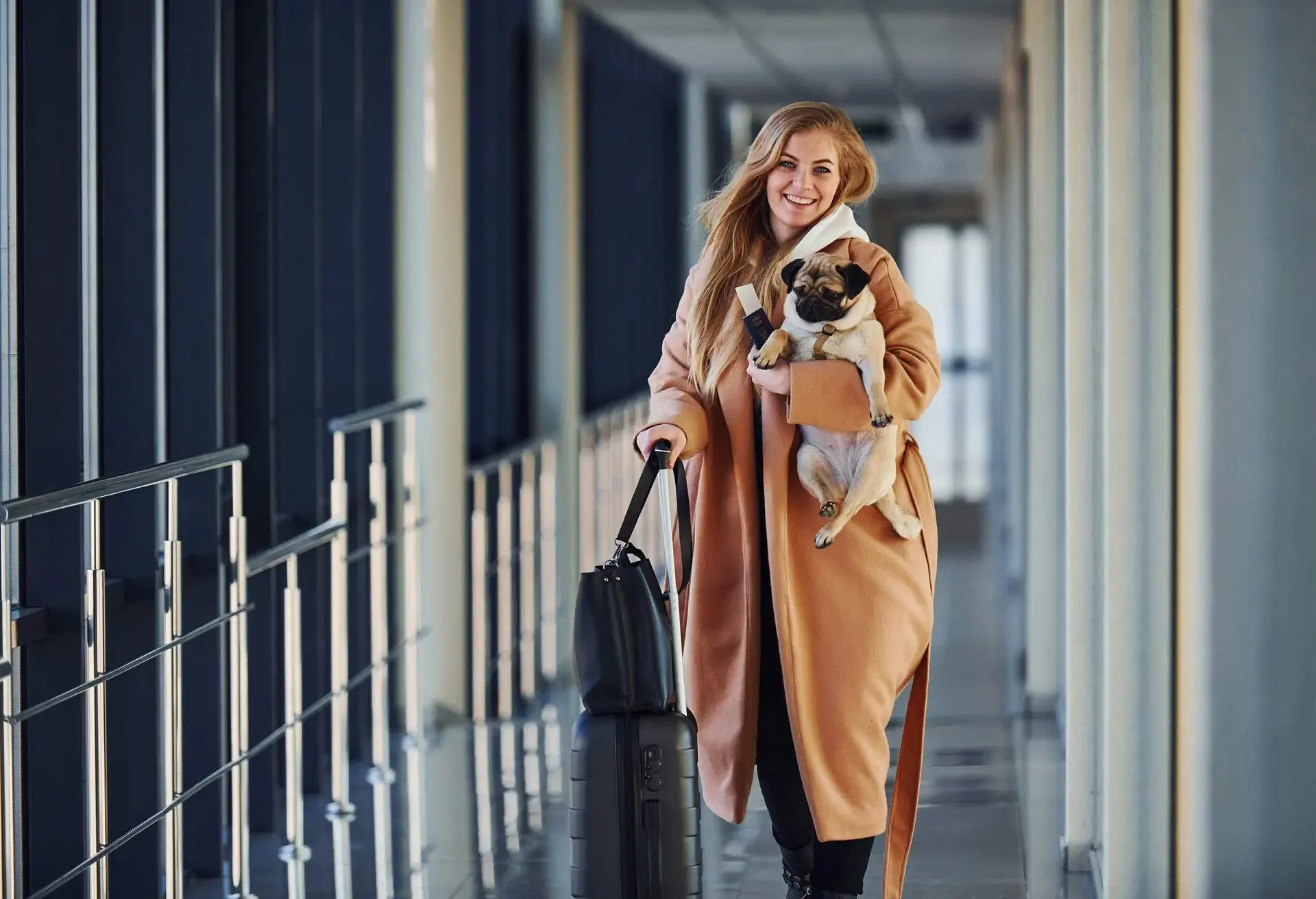 THEME_PERSON_PET_AIRPORT_PASSPORT_TRAVEL_DOG