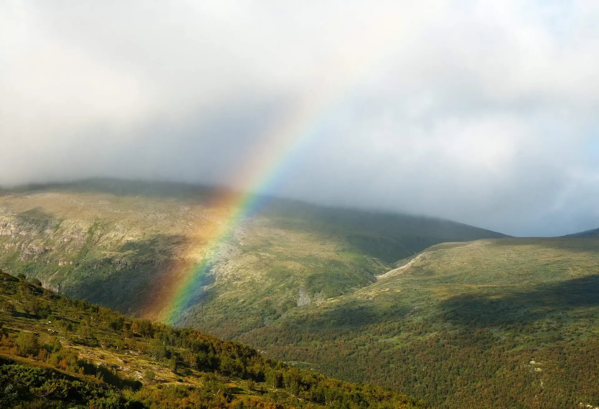National park Dovrefjell-Sunndalsfjella to Norway, a landscape