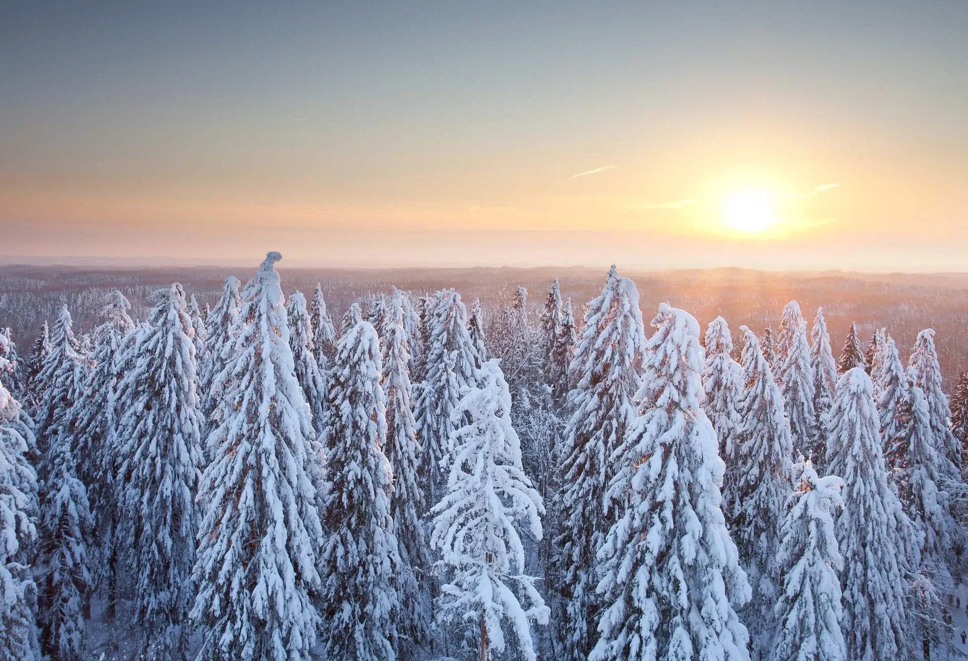 DEST_ESTONIA_Suur-Munamägi _GettyImages-471704827