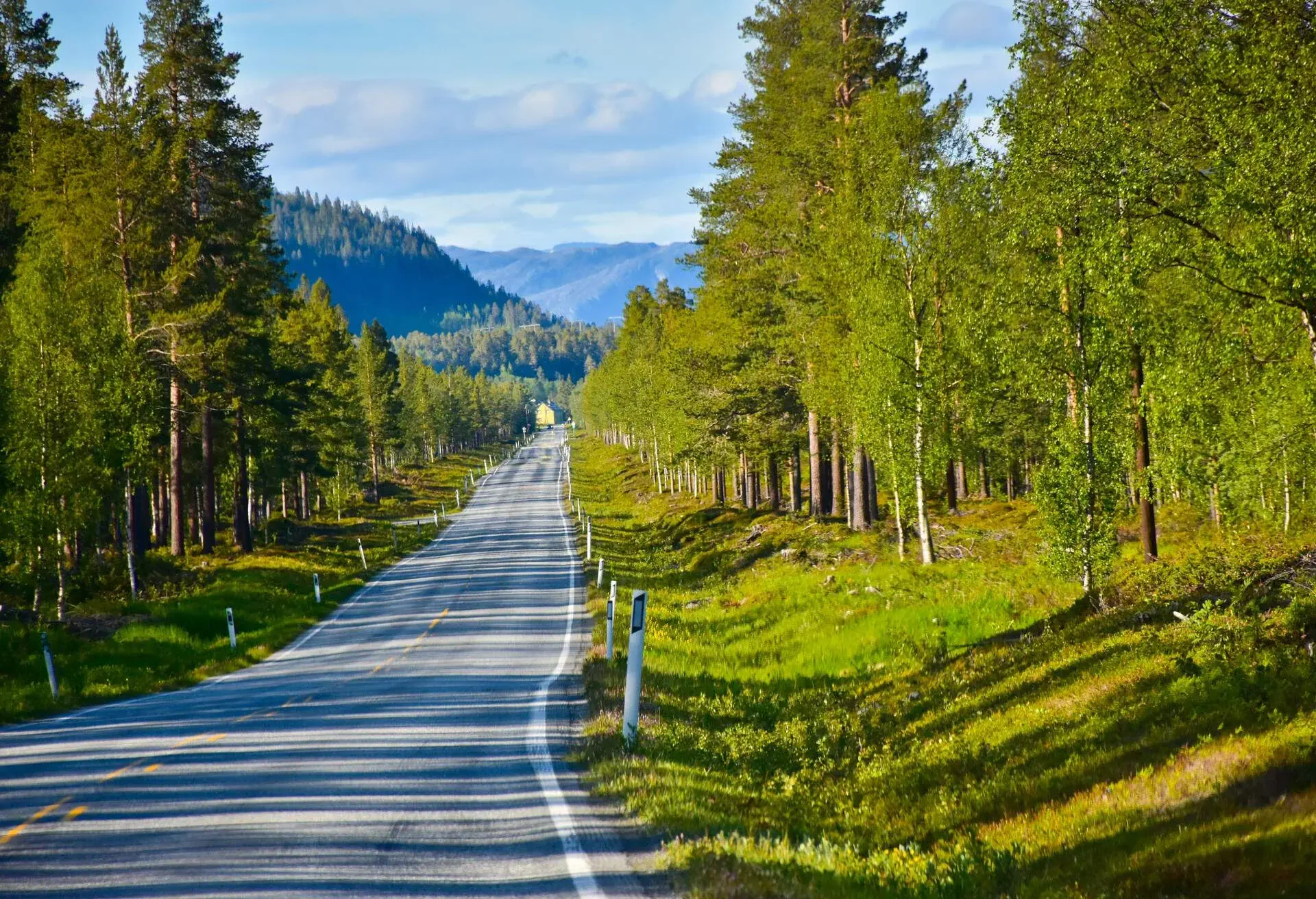 Finnmark, June 2016. Shadow from the trees in the road.