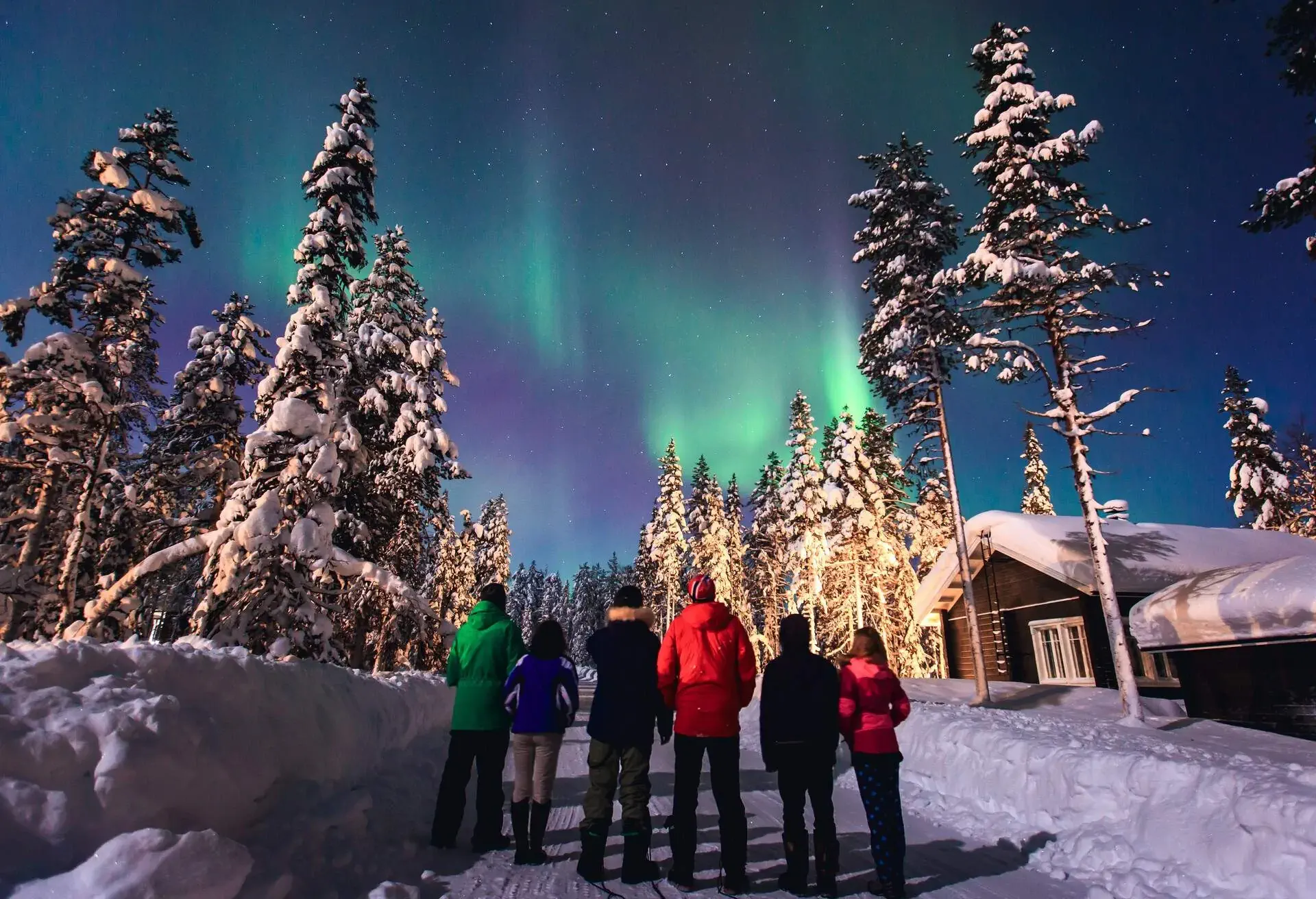 A group of people standing on a snowy path with tall trees and looking up to the sky to admire the northern lights.