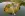 preload