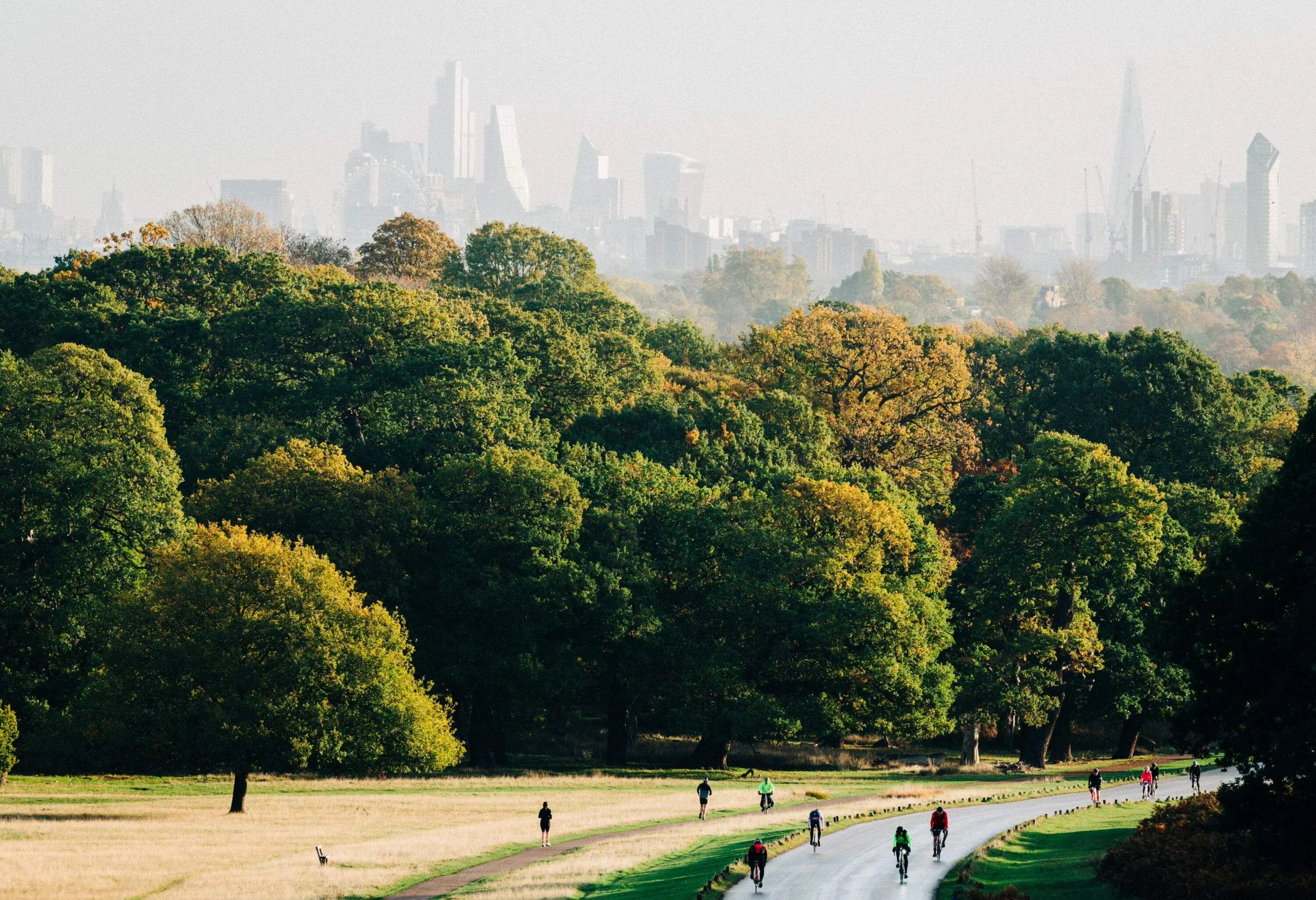 High angle view of park on an autumn day, cyclists commuting, and cityscape in the background