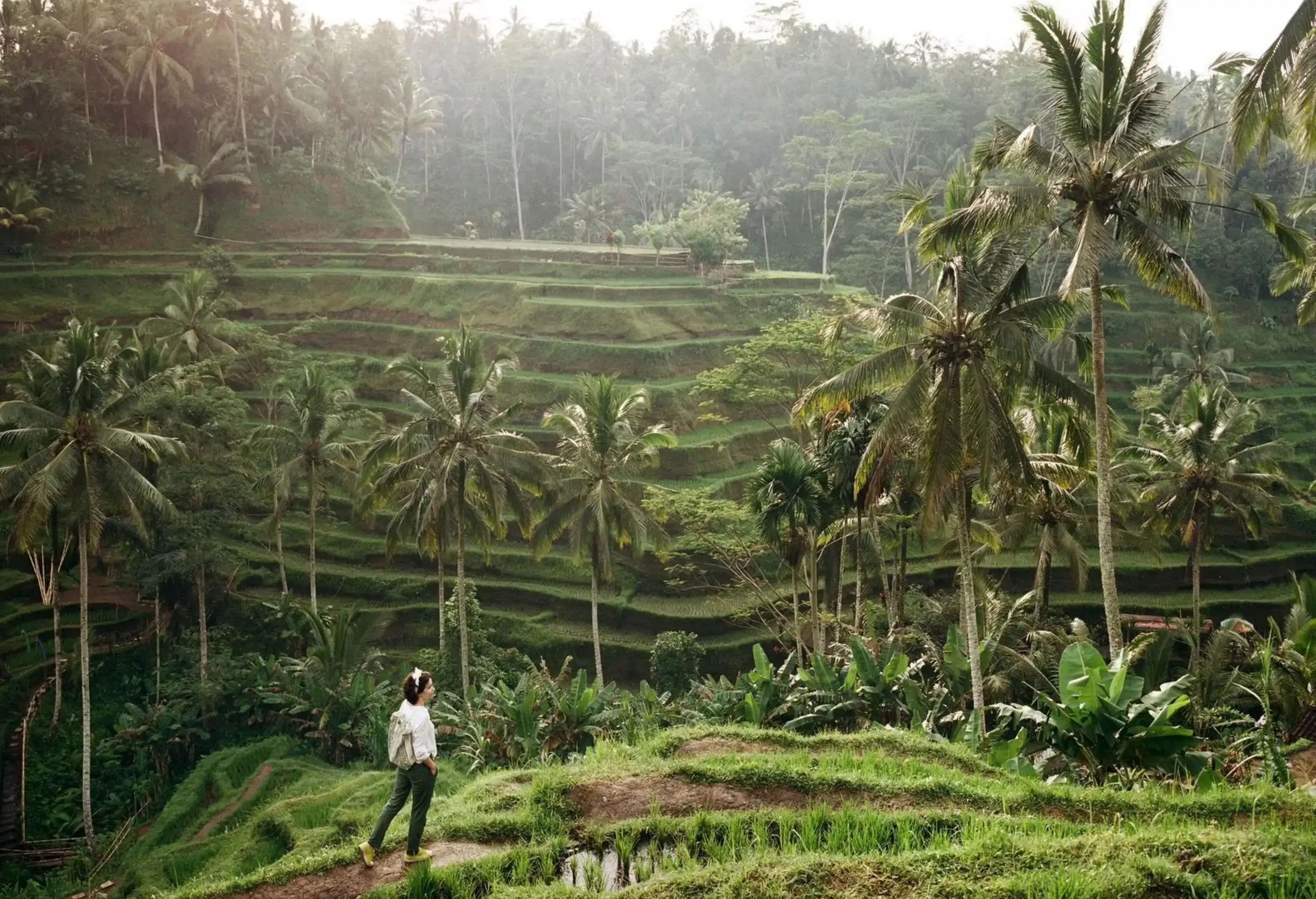 A woman walking on a dirt path along terraced rice fields in the mountains.