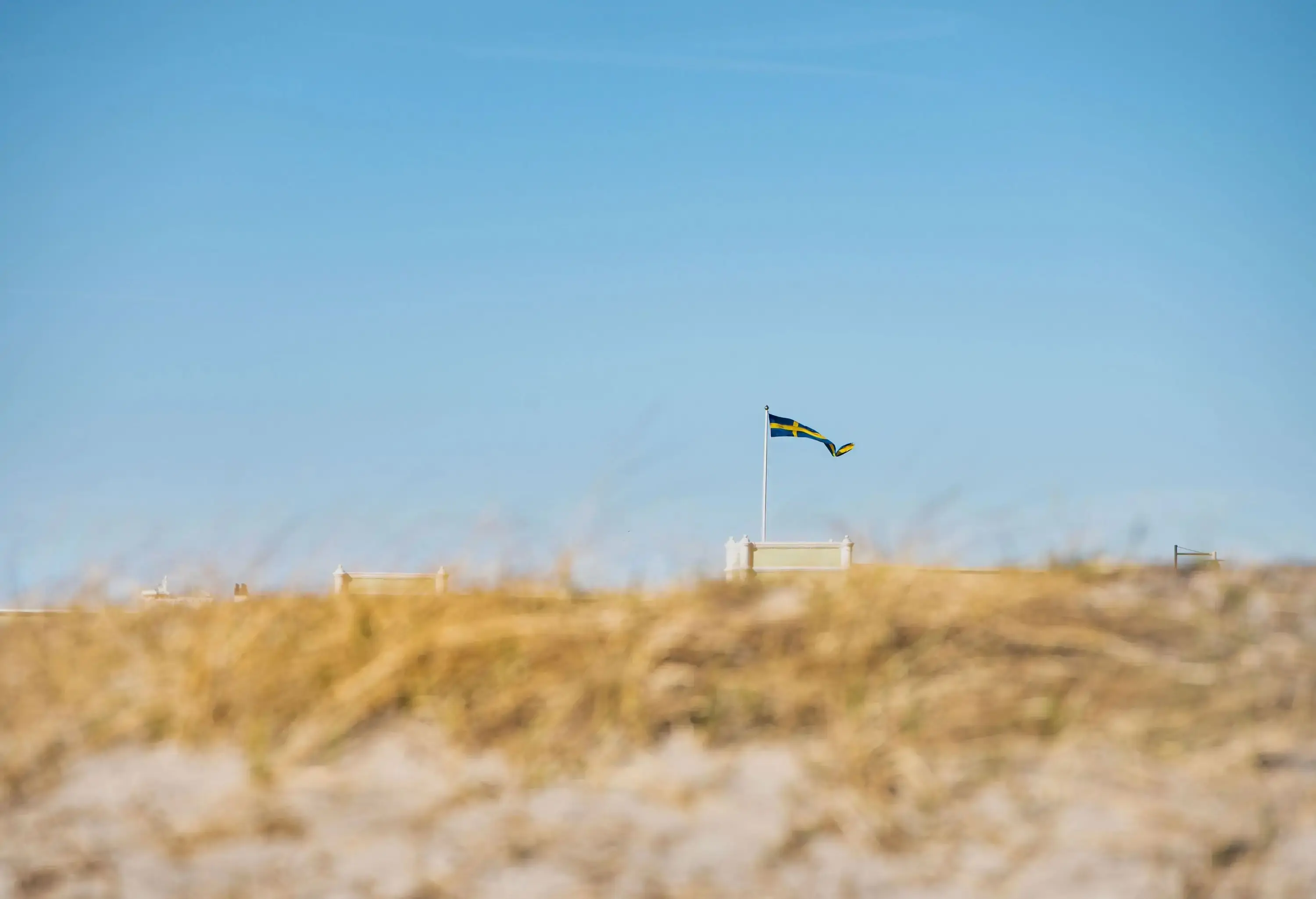 A Swedish flag waving on a pole as seen from a beach sand dune.