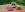 preload