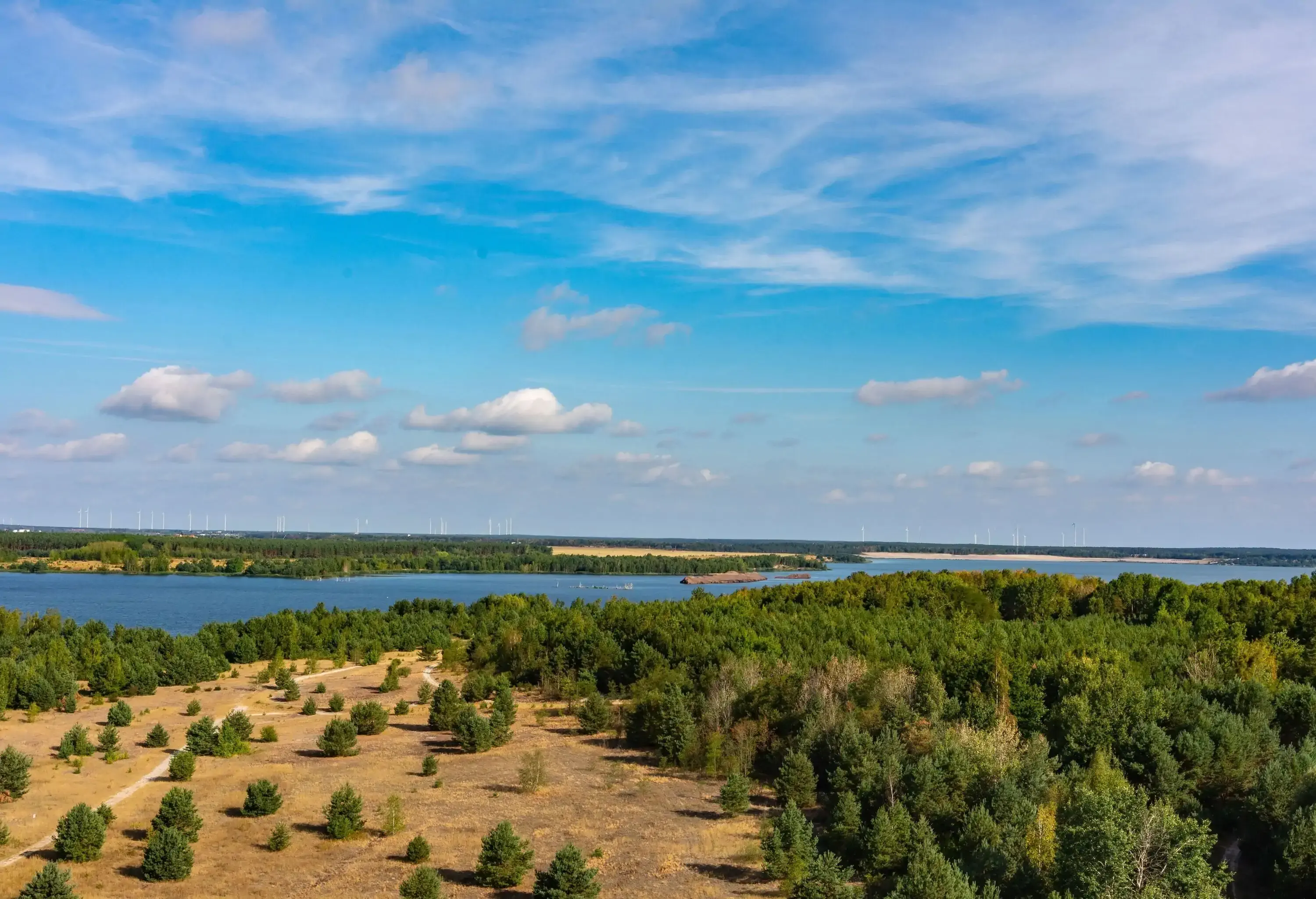 High angle view of lake surrounded by trees and meadows