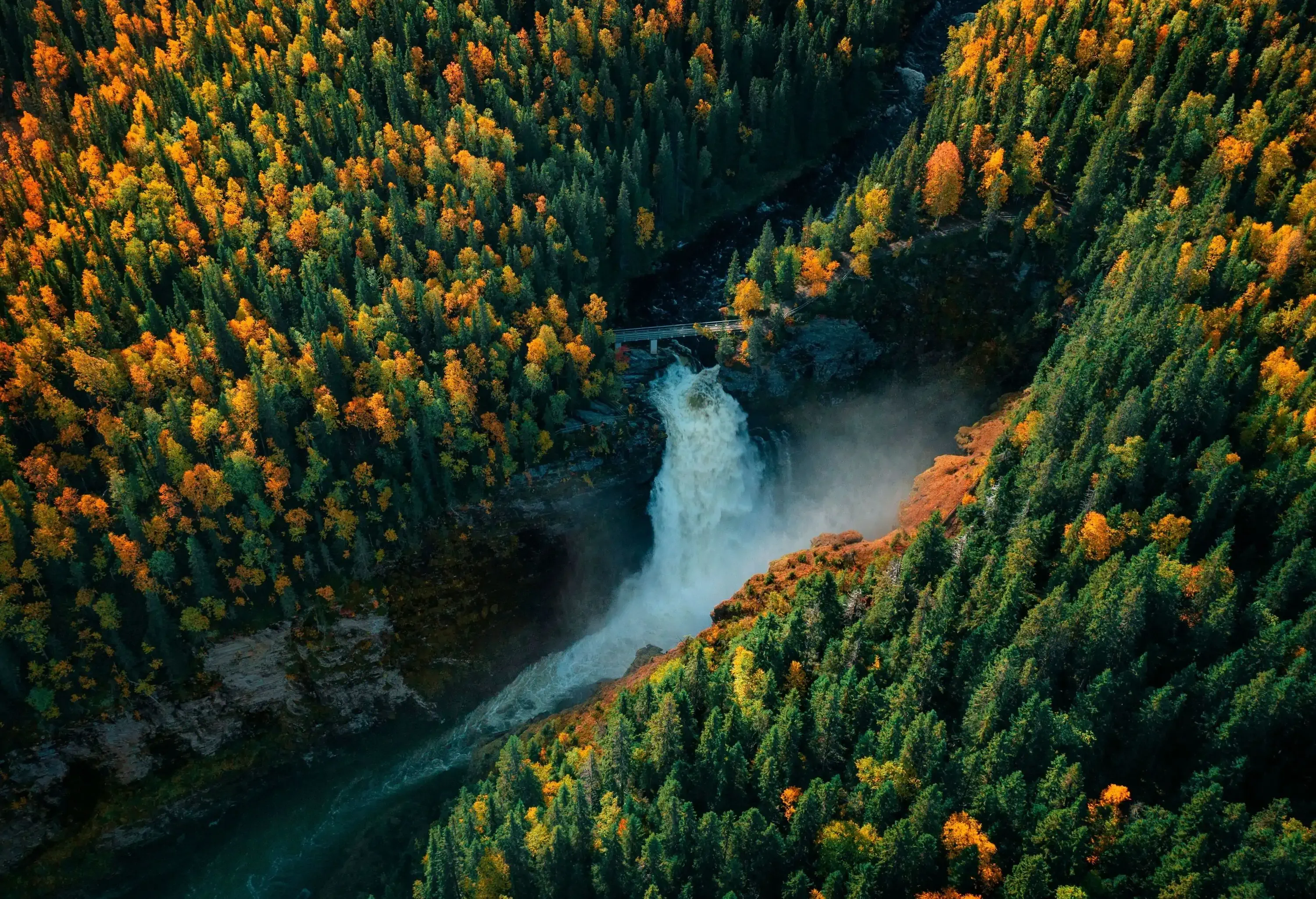 Water surging through a rock gorge topped with autumn-coloured trees.
