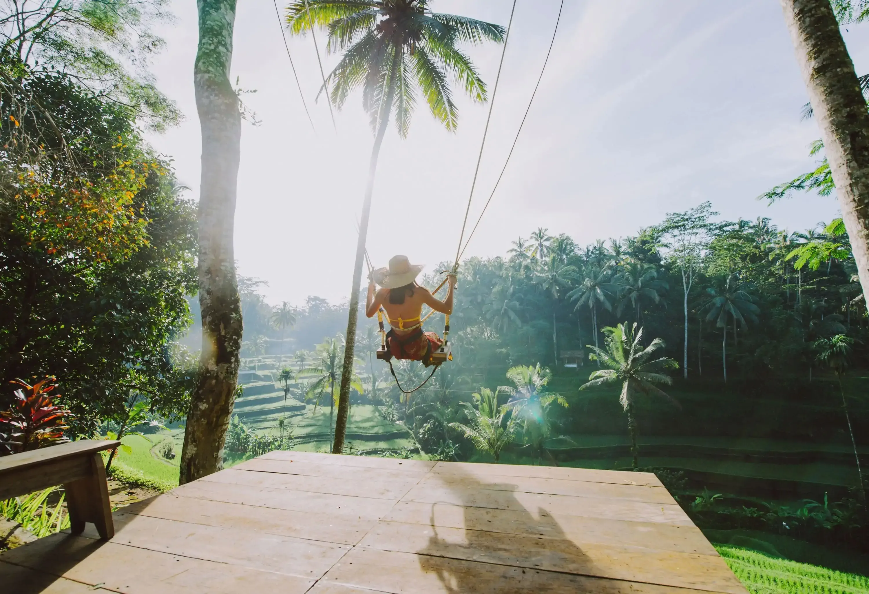 A woman swaying on a tree swing over rice fields and coconut trees.