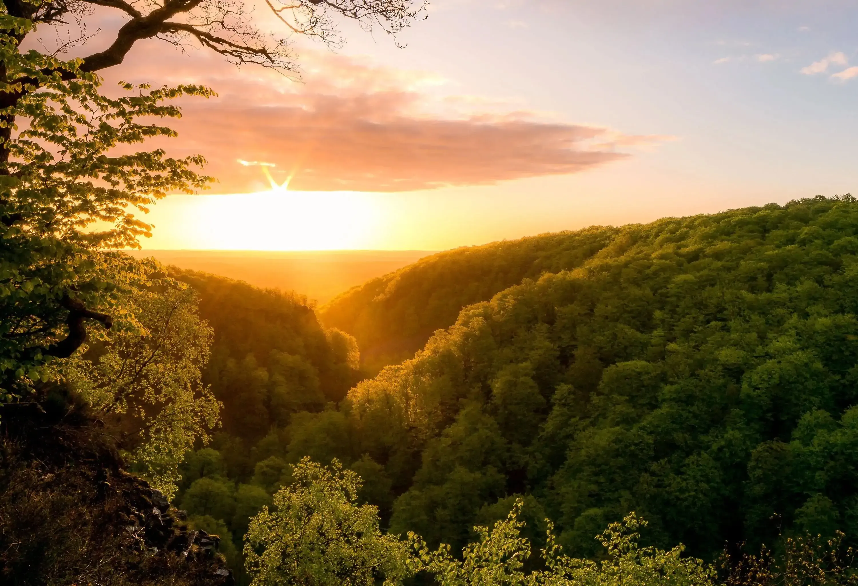 Sunrise over lush green mountains