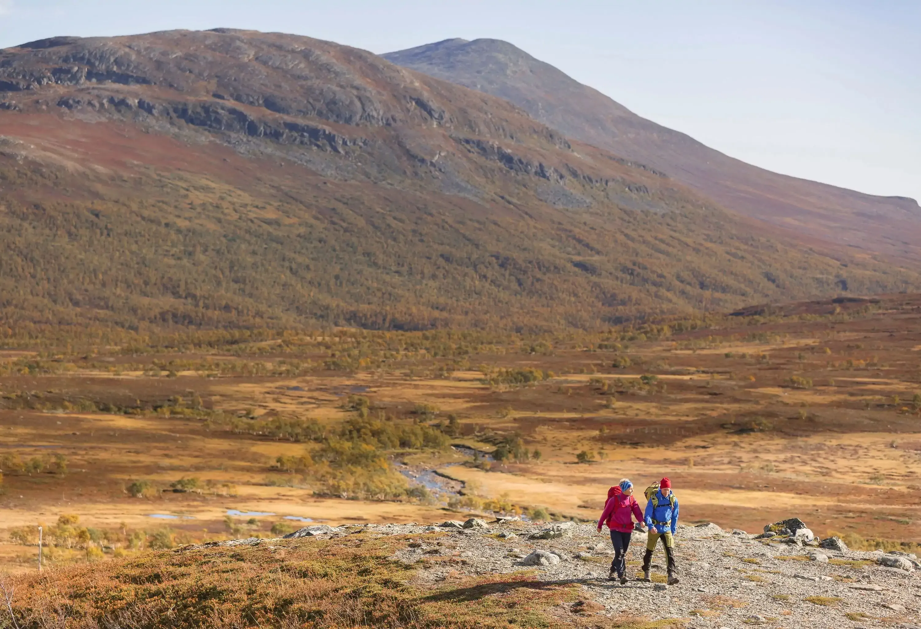 Two hikers on a rocky plain with a mountain range covered in trees in the distance.