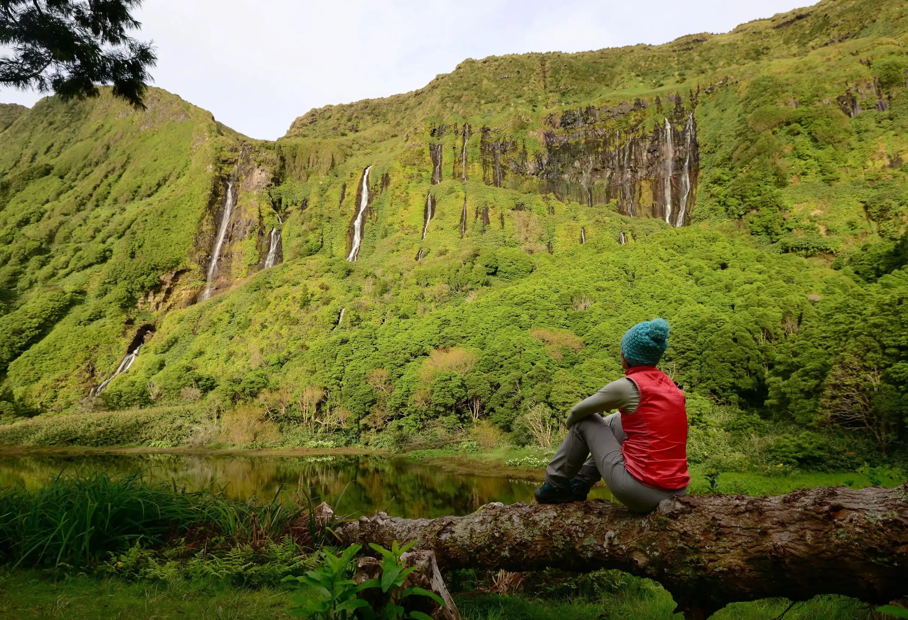 An individual sits on a trunk overlooking the lush cliff.