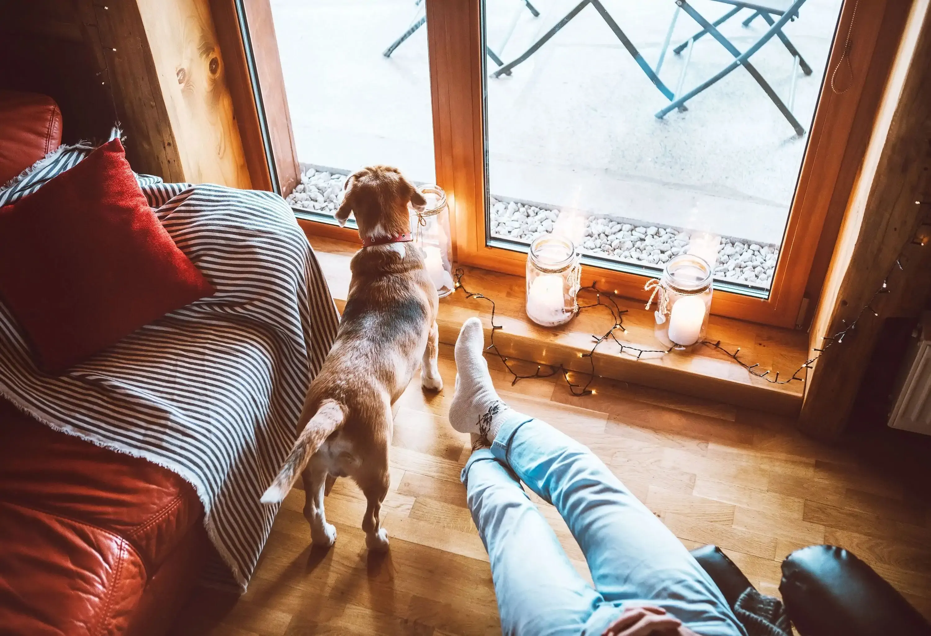 A dog looks out a large window beside a person sitting on a chair.