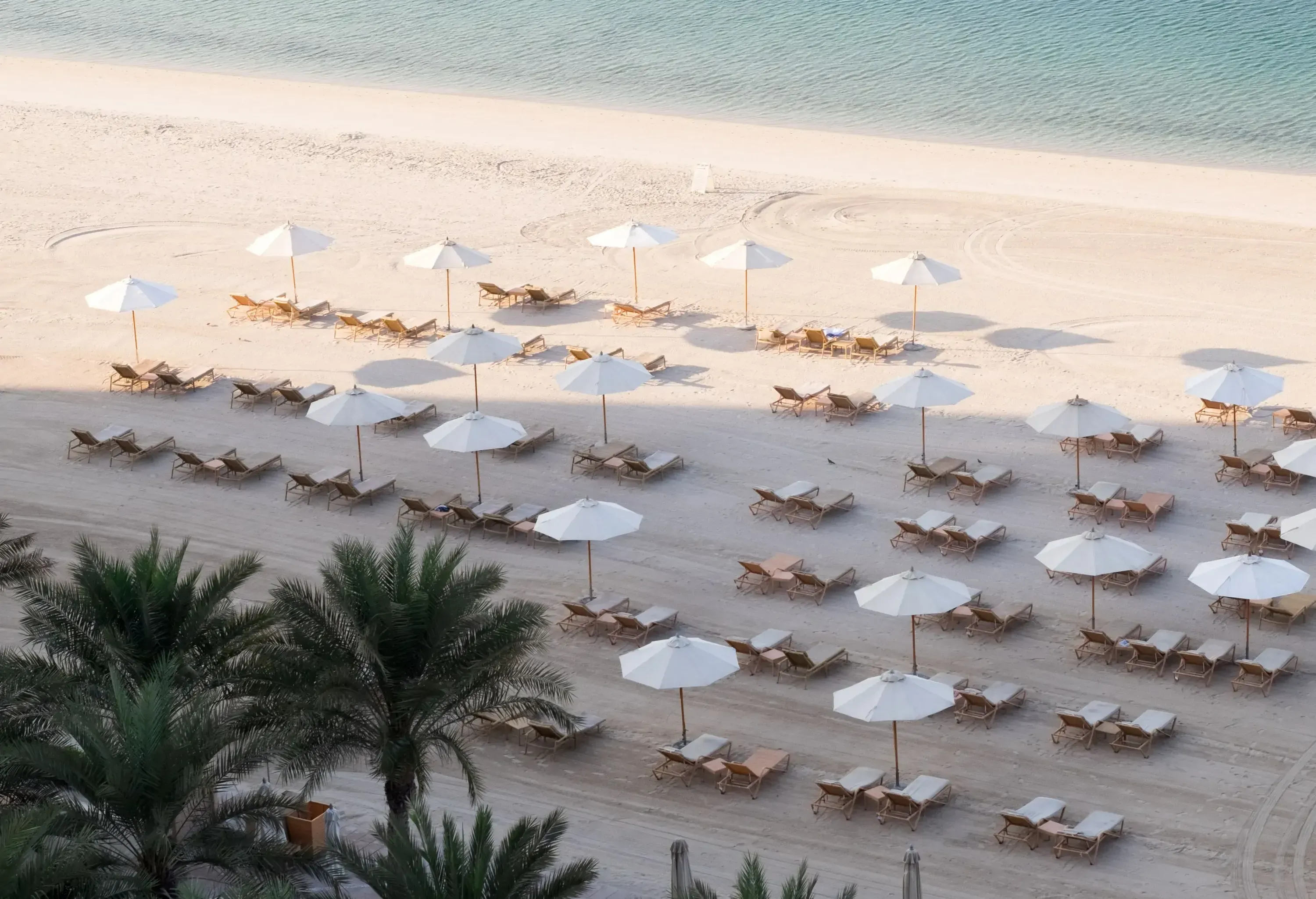 Near the palm trees, there are sun loungers and parasols set out on the sand.