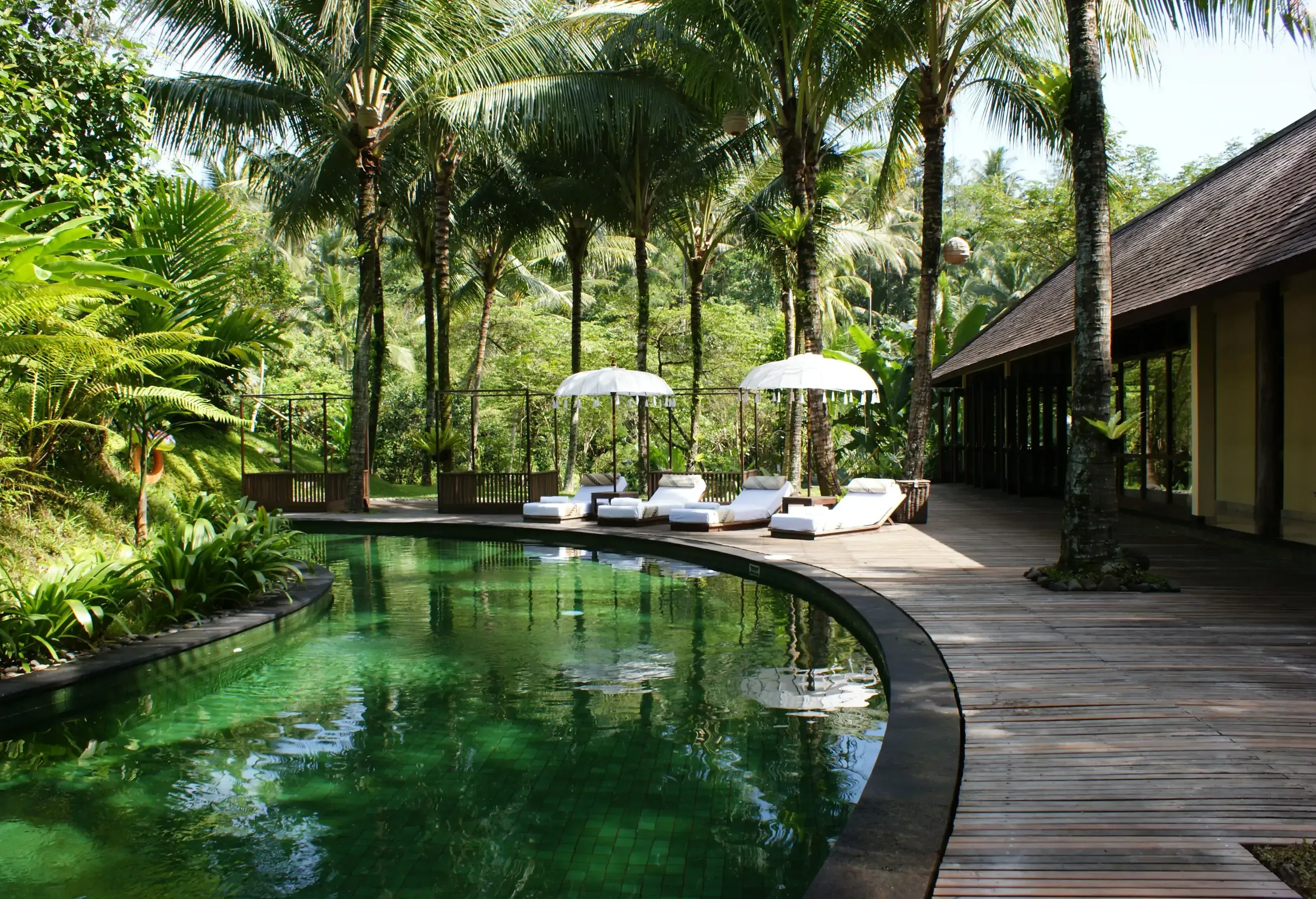 White sunbeds with umbrellas next to a pool at a hotel in a tropical forest.