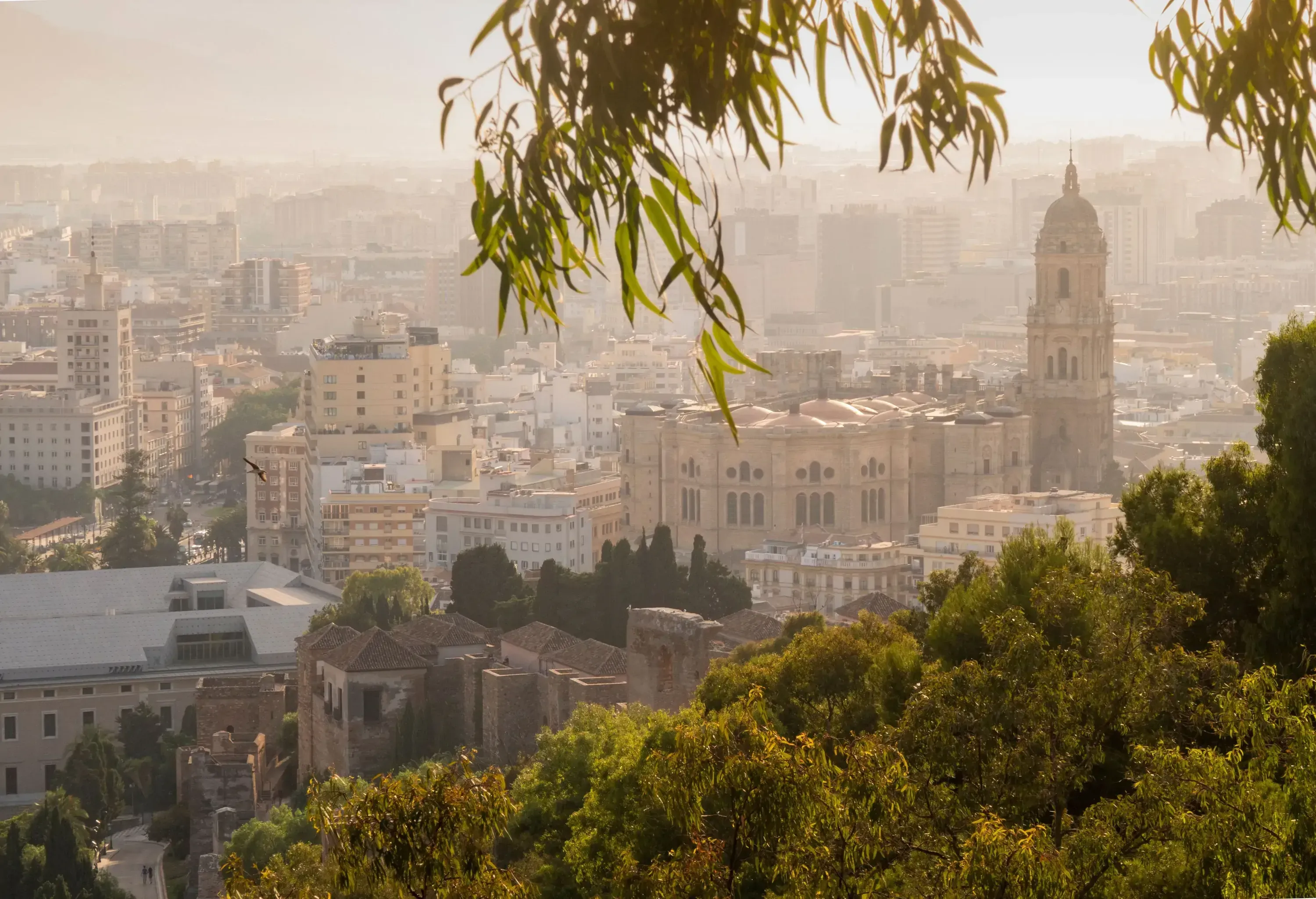 The bell tower of a cathedral rising over the rooftops of city buildings.