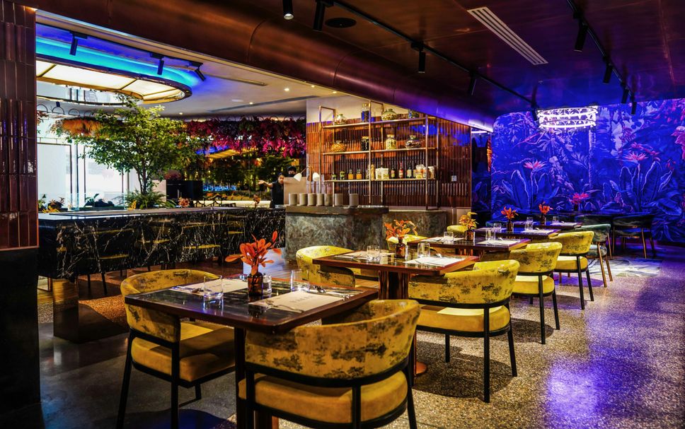 Restaurang Foto