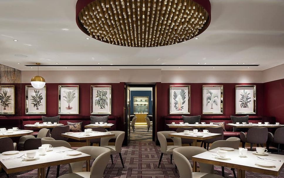 Restaurang Foto