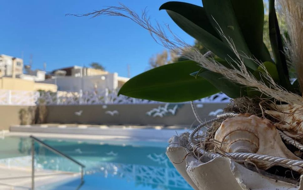 Pool Foto