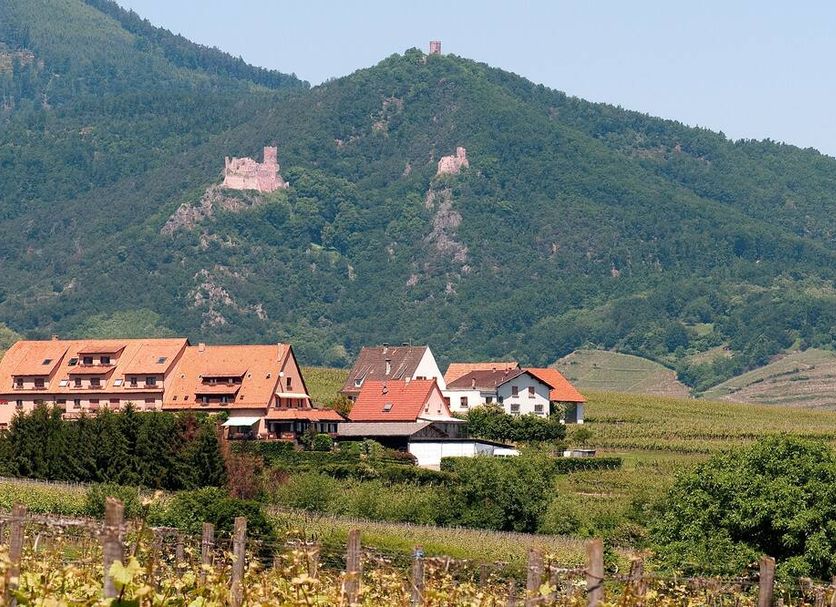 Utomhus Foto