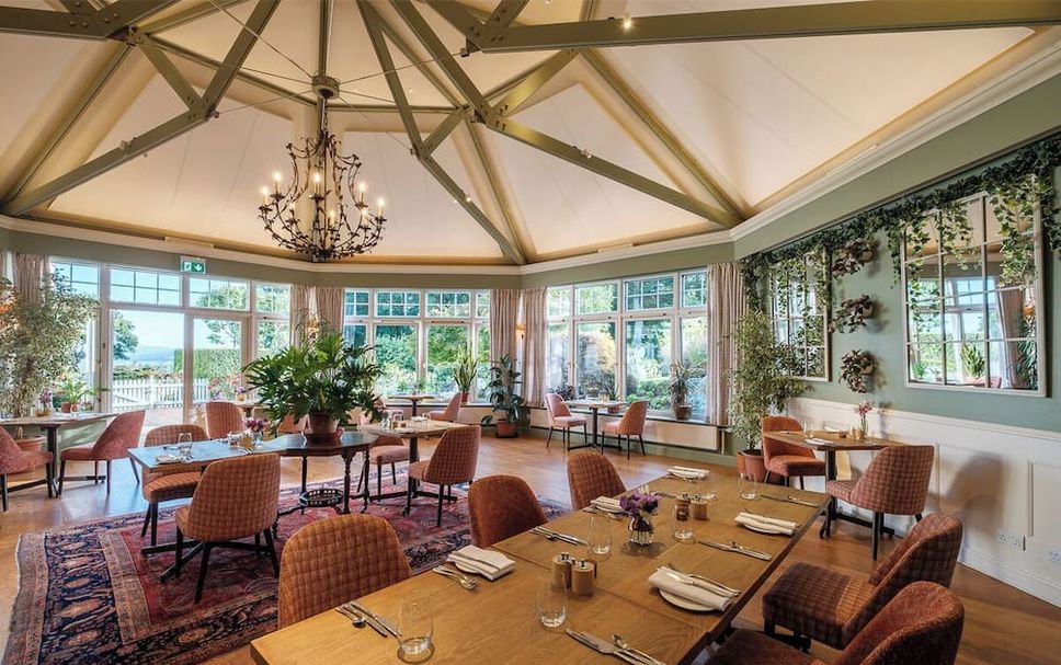 Restaurang Foto