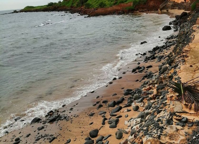Övrigt Foto