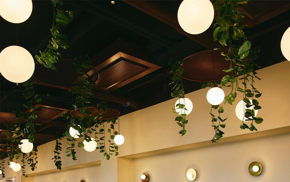 Restaurang Foto